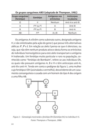 64
Os grupos sanguíneos ABO (adaptado de Thompson, 1981)
Grupo sanguíneo
(fenótipo)
Genótipo
Antígenos nos
eritrócitos
Anticorpos
no plasma
O Ii Nenhum Anti-A e anti-B
A IA
IA
ou IA
i A Anti-B
B IB
IB
ou IB
i B Anti-A
AB IA
IB
A e B Nenhum
Os antígenos A e B têm como substrato outro, designado antígeno
H, e são sintetizados pela ação do gene I, que possui três alternativas
alélicas: IA
, IB
e i. Em relação ao alelo i pensa-se que é silencioso, ou
seja, que não têm nenhum produto ativo e desta forma os eritrócitos
de indivíduos homozigóticos para este alelo transportam o antígeno
H inalterado. Um fenótipo muito particular e raro na população, co-
nhecido como “fenótipo de Bombaim”, refere-se aos indivíduos Oh,
os quais não possuem antígenos A, B e H e têm anticorpos anti-A,
anti-B e anti-H. Tendo em conta o pedigree da figura 1, uma mulher
cujo fenótipo é Oh (assinalado a vermelho), descendente de um casa-
mento consanguíneo e casada com um homem do tipo A deu origem
a uma filha AB.
Figura 1 – Genealogia mostrando o fenótipo Oh (Genótipo hh) no indivíduo II-5.
Fonte: Thompson e Thompson, 1988.
Os antígenos A e B têm como substrato outro, designado antígeno H,
são sintetizados pela ação do gene I, que possui três alternativas alélicas: IA
IB e i. Em relação ao alelo i pensa-se que é silencioso, ou seja, que não tê
nenhum produto ativo e desta forma os eritrócitos de indivíduos homozigótico
para este alelo transportam o antígeno H inalterado. Um fenótipo mui
particular e raro na população, conhecido como “fenótipo de Bombaim”, refere
se aos indivíduos Oh, os quais não possuem antígenos A, B e H e tê
anticorpos anti-A, anti-B e anti-H. Tendo em conta o pedigree da figura 1, um
mulher cujo fenótipo é Oh (assinalado a vermelho), descendente de u
casamento consanguíneo e casada com um homem do tipo A deu origem
uma filha AB.
Figura 1. Genealogia mostrando o fenótipo Oh (Genótipo hh) no indivíduo II-5
Fonte: Thompson e Thompson, 1988.
 