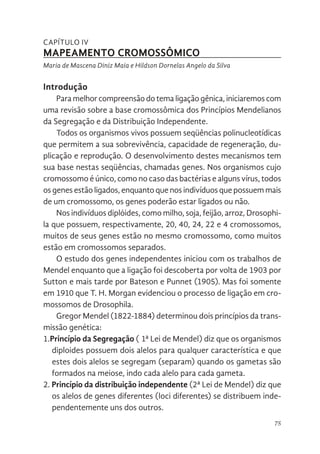 75
CAPÍTULO IV
MAPEAMENTO CROMOSSÔMICO
Maria de Mascena Diniz Maia e Hildson Dornelas Angelo da Silva
Introdução
Para melhor compreensão do tema ligação gênica, iniciaremos com
uma revisão sobre a base cromossômica dos Princípios Mendelianos
da Segregação e da Distribuição Independente.
Todos os organismos vivos possuem seqüências polinucleotídicas
que permitem a sua sobrevivência, capacidade de regeneração, du-
plicação e reprodução. O desenvolvimento destes mecanismos tem
sua base nestas seqüências, chamadas genes. Nos organismos cujo
cromossomo é único, como no caso das bactérias e alguns vírus, todos
os genes estão ligados, enquanto que nos indivíduos que possuem mais
de um cromossomo, os genes poderão estar ligados ou não.
Nos indivíduos diplóides, como milho, soja, feijão, arroz, Drosophi-
la que possuem, respectivamente, 20, 40, 24, 22 e 4 cromossomos,
muitos de seus genes estão no mesmo cromossomo, como muitos
estão em cromossomos separados.
O estudo dos genes independentes iniciou com os trabalhos de
Mendel enquanto que a ligação foi descoberta por volta de 1903 por
Sutton e mais tarde por Bateson e Punnet (1905). Mas foi somente
em 1910 que T. H. Morgan evidenciou o processo de ligação em cro-
mossomos de Drosophila.
Gregor Mendel (1822-1884) determinou dois princípios da trans-
missão genética:
1.Princípio da Segregação ( 1ª Lei de Mendel) diz que os organismos
diploides possuem dois alelos para qualquer característica e que
estes dois alelos se segregam (separam) quando os gametas são
formados na meiose, indo cada alelo para cada gameta.
2. Princípio da distribuição independente (2ª Lei de Mendel) diz que
os alelos de genes diferentes (loci diferentes) se distribuem inde-
pendentemente uns dos outros.
 