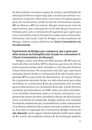 79
de descendentes em pouco espaço de tempo e possibilidade de
obtenção de fêmeas virgens logo após a eclosão para efetuar cru-
zamentos recíprocos. Além disso, este inseto tem apenas quatro
pares de cromossomos, sendo um par de cromossomos sexuais,
XX nas fêmeas e XY nos machos. Morgan mostrou por meio de
experimentos, que a mutação de cor de olho dessas moscas era
herdada junto com o cromossomo X sugerindo que o gene para
essa característica estava fisicamente situado nesse cromossomo.
Entretanto, mais tarde, Calvin B. Bridges, um dos estudantes de
Morgan, obteve a prova definitiva da Teoria Cromossômica da
Hereditariedade.
Experimento de Bridges para comprovar que o gene para
olhos brancos da Drosophila está situado no cromossomo X
(Teoria Cromossômica da Herança).
Bridges cruzou uma fêmea de olhos brancos (Xw
Xw
) com um
macho de olhos vermelhos (X+
Y) e observou que cerca de 2,5% da
prole masculina tinham olhos vermelhos e 2,5% da prole feminina
tinham olhos brancos. No cruzamento está claro que cada mosca
masculina deveria herdar o cromossomo X da mãe ficando com o
genótipo Xw
Y ou seja macho de olhos brancos. As moscas fêmeas
do cruzamento deveriam herdar um alelo dominante para olhos
vermelhos no cromossomo X do pai juntamente com um alelo
para os olhos brancos no cromossomo X da mãe. A prole feminina
resultante, portanto deveria ser X+
Xw
, todas com olhos vermelhos.
A cor vermelha é dominante sobre a cor branca. Entretanto, o sur-
gimento de machos de olhos vermelhos e fêmeas de olhos brancos
nesse cruzamento foi inesperado. Bridges explicou esse resultado
formulando a hipótese de que, ocasionalmente, os dois cromossomos
X nas fêmeas poderiam não se separar durante a anáfase I da meio-
se. Essa falha na separação dos cromossomos Bridges chamou de
não-disjunção. Assim, alguns ovócitos poderão receber duas cópias
de X e outros não receberão nenhum X. Na fertilização poderão
 