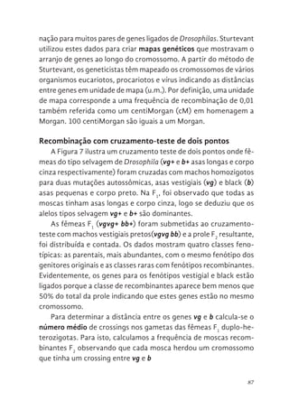 87
nação para muitos pares de genes ligados de Drosophilas. Sturtevant
utilizou estes dados para criar mapas genéticos que mostravam o
arranjo de genes ao longo do cromossomo. A partir do método de
Sturtevant, os geneticistas têm mapeado os cromossomos de vários
organismos eucariotos, procariotos e vírus indicando as distâncias
entre genes em unidade de mapa (u.m.). Por definição, uma unidade
de mapa corresponde a uma frequência de recombinação de 0,01
também referida como um centiMorgan (cM) em homenagem a
Morgan. 100 centiMorgan são iguais a um Morgan.
Recombinação com cruzamento-teste de dois pontos
A Figura 7 ilustra um cruzamento teste de dois pontos onde fê-
meas do tipo selvagem de Drosophila (vg+ e b+ asas longas e corpo
cinza respectivamente) foram cruzadas com machos homozigotos
para duas mutações autossômicas, asas vestigiais (vg) e black (b)
asas pequenas e corpo preto. Na F1
, foi observado que todas as
moscas tinham asas longas e corpo cinza, logo se deduziu que os
alelos tipos selvagem vg+ e b+ são dominantes.
As fêmeas F1
(vgvg+ bb+) foram submetidas ao cruzamento-
teste com machos vestigiais pretos(vgvg bb) e a prole F2
resultante,
foi distribuída e contada. Os dados mostram quatro classes feno-
típicas: as parentais, mais abundantes, com o mesmo fenótipo dos
genitores originais e as classes raras com fenótipos recombinantes.
Evidentemente, os genes para os fenótipos vestigial e black estão
ligados porque a classe de recombinantes aparece bem menos que
50% do total da prole indicando que estes genes estão no mesmo
cromossomo.
Para determinar a distância entre os genes vg e b calcula-se o
número médio de crossings nos gametas das fêmeas F1
duplo-he-
terozigotas. Para isto, calculamos a frequência de moscas recom-
binantes F2
observando que cada mosca herdou um cromossomo
que tinha um crossing entre vg e b
 