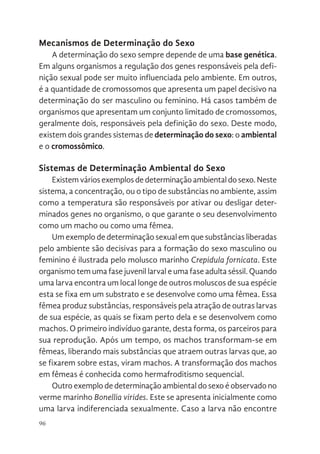 96
Mecanismos de Determinação do Sexo
A determinação do sexo sempre depende de uma base genética.
Em alguns organismos a regulação dos genes responsáveis pela defi-
nição sexual pode ser muito influenciada pelo ambiente. Em outros,
é a quantidade de cromossomos que apresenta um papel decisivo na
determinação do ser masculino ou feminino. Há casos também de
organismos que apresentam um conjunto limitado de cromossomos,
geralmente dois, responsáveis pela definição do sexo. Deste modo,
existem dois grandes sistemas de determinação do sexo: o ambiental
e o cromossômico.
Sistemas de Determinação Ambiental do Sexo
Existem vários exemplos de determinação ambiental do sexo. Neste
sistema, a concentração, ou o tipo de substâncias no ambiente, assim
como a temperatura são responsáveis por ativar ou desligar deter-
minados genes no organismo, o que garante o seu desenvolvimento
como um macho ou como uma fêmea.
Um exemplo de determinação sexual em que substâncias liberadas
pelo ambiente são decisivas para a formação do sexo masculino ou
feminino é ilustrada pelo molusco marinho Crepidula fornicata. Este
organismo tem uma fase juvenil larval e uma fase adulta séssil. Quando
uma larva encontra um local longe de outros moluscos de sua espécie
esta se fixa em um substrato e se desenvolve como uma fêmea. Essa
fêmea produz substâncias, responsáveis pela atração de outras larvas
de sua espécie, as quais se fixam perto dela e se desenvolvem como
machos. O primeiro indivíduo garante, desta forma, os parceiros para
sua reprodução. Após um tempo, os machos transformam-se em
fêmeas, liberando mais substâncias que atraem outras larvas que, ao
se fixarem sobre estas, viram machos. A transformação dos machos
em fêmeas é conhecida como hermafroditismo sequencial.
Outro exemplo de determinação ambiental do sexo é observado no
verme marinho Bonellia virides. Este se apresenta inicialmente como
uma larva indiferenciada sexualmente. Caso a larva não encontre
 