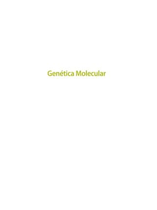 Genética Molecular
 