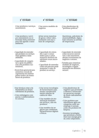 3° Estágio                 4° Estágio                    5° Estágio

 Criar produtos e serviços   Criar novos modelos de        Criar plataformas de
 sustentáveis                negócios                      “próximas práticas”



 Criar produtos e servi-     Achar novas maneiras          Questionar, pela lente da
 ços sustentáveis ou re-     de gerar e obter valor,       sustentabilidade, lógica
 formular linha existente    mudando com isso a            hoje reinante na ativida-
 para não agredir o meio     base de competição.           de empresarial.
 ambiente.




- Capacidade de entender     - Capacidade de enten-       - Capacidade de entender
  que produtos ou serviços     der o que o consu-           como recursos renová-
  mais agridem o meio          midor quer e achar           veis e não renováveis
  ambiente.                    maneiras distintas de        afetam ecossistemas de
                               satisfazer essas neces-      negócios e setores.
- Capacidade de conquis-       sidades.
  tar o apoio do público                                  - Tarimba para sintetizar
  real com produtos sus-     - Capacidade de entender       modelos de negócios,
  tentáveis.                   como um parceiro pode        tecnologias e regula-
                               aumentar o valor do          mentação em distintos
- Know-how gerencial para      produto ou serviço.          setores.
  aumentar a escala do
  suprimento de matéria-
  prima verde e da manu-
  fatura de produtos.




- Usar técnicas como a da    - Criar novas tecnologias     - Criar plataformas de
  biomimética no desen-        de fornecimento para          negócios que permitam
  volvimento de produtos.      mudar consideravel-           a clientes e fornecedo-
                               mente relações de             res gerenciar energia
- Criar embalagens com-        cadeia de valor.              de modo radicalmente
  pactas e ambientalmen-                                     distinto.
  te corretas.               - Criar modelos de mo-
                               netização fundados          - Criar produtos que
                               em serviços, não em           nãoutilizem água em
                               produtos.                     categorias onde seu
                                                             emprego é normal,
                             - Criar modelos de ne-          como em produtos de
                               gócios que combinem           limpeza.
                               infraestruturas digitais
                               e físicas.                  - Inventar tecnologias
                                                              que permitam a indús-
                                                              trias usar energia gera-
                                                              da como subproduto.




                                                                         Capítulo 2      55
 