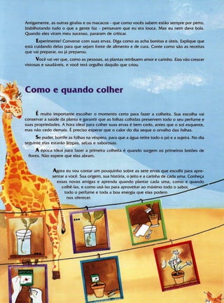 Livro Gigi e as Sermentes