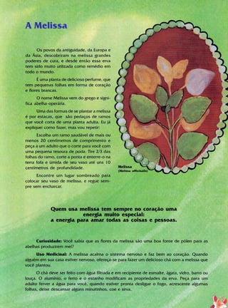 Livro Gigi e as Sermentes