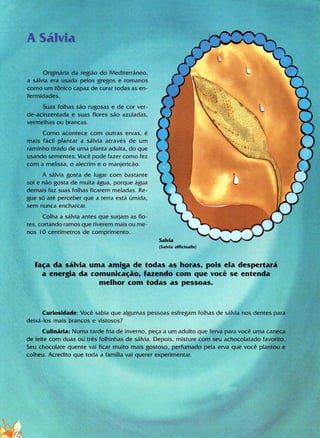 Livro Gigi e as Sermentes