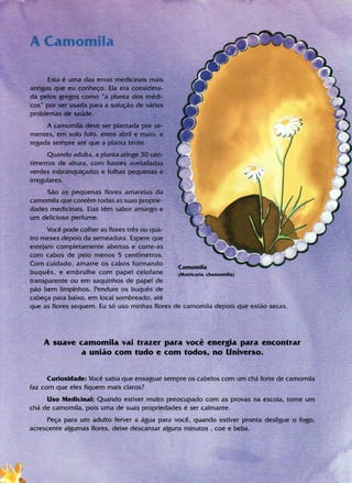 Livro Gigi e as Sermentes