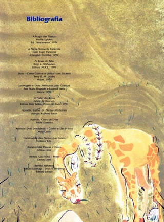 Livro Gigi e as Sermentes