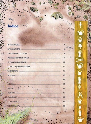 Livro Gigi e as Sermentes