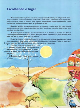 Livro Gigi e as Sermentes