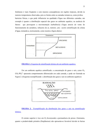 22


fenômeno é mais freqüente e com maiores conseqüências em regiões tropicais, devido às
maiores temperaturas observadas, pois os limites entre as camadas tornam-se, como já ditos
barreiras físicas, o que pode influenciar na qualidade d’água nas diferentes camadas, um
exemplo é quanto a distribuição espacial dos gases no ambiente aquático, na ausência de
fatores     que provoquem a movimentação (turbulência) d’água através do vento do
funcionamento de aeradores, infusores de ar, motores ,etc) ocorre estratificação da coluna
d’água, tornando-a, teoricamente, como mostra a figura abaixo:




           FIGURA 1. Esquema de estratificação térmica de um ambiente aquático.


           Em um ambiente aquático estratificado, a concentração de gases e sais, como O2,
CO2 PO43- apresenta comportamento diferenciado em cada camada, e pode ser ilustrada na
Figura 2. (Esquema exemplificando a distribuição dos gases e sais no ambiente aquático):




           FIGURA 2.     Exemplificação da distribuição dos gases e sais na estratificação
térmica.


           O extrato superior é rico em O2 favorecendo a permanência de peixes .Entretanto,
quanto a produtividade primária (fitoplâncton) não apresenta-se favorável devido às baixas
 