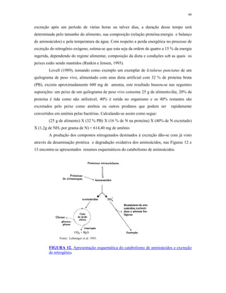 44


excreção após um período de várias horas ou talvez dias, a duração desse tempo será
determinada pelo tamanho do alimento, sua composição (relação proteína:energia e balanço
de aminoácidos) e pela temperatura da água. Com respeito a perda energética no processo de
excreção do nitrogênio exógeno, estima-se que esta seja da ordem de quatro a 15 % da energia
ingerida, dependendo do regime alimentar, composição da dieta e condições sob as quais os
peixes estão sendo mantidos (Rankin e Jensen, 1993).
        Lovell (1989), tomando como exemplo um exemplar de Ictalurus punctatus de um
quilograma de peso vivo, alimentado com uma dieta artificial com 32 % de proteína bruta
(PB), excreta aproximadamente 600 mg de amonia, este resultado baseou-se nas seguintes
suposições: um peixe de um quilograma de peso vivo consome 25 g de alimento/dia; 20% da
proteína é tida como não utilizável, 40% é retida no organismo e os 40% restantes são
excretados pelo peixe como amônia ou outros produtos que podem ser             rapidamente
convertidos em amônia pelas bactérias. Calculando-se assim como segue:
        (25 g de alimento) X (32 % PB) X (16 % de N na proteína) X (40% de N excretado)
X (1,2g de NH3 por grama de N) = 614,40 mg de amônio
        A produção dos compostos nitrogenados destinados à excreção dão-se com já visto
através da desaminação protéica e degradação oxidativa dos aminoácidos, nas Figuras 12 e
13 encontra-se apresentados resumos esquemáticos do catabolismo de aminoácidos.




              Fonte: Lehninger et al. 1993.


        FIGURA 12. Apresentação esquemática do catabolismo de aminoácidos e excreção
        de nitrogênio.
 