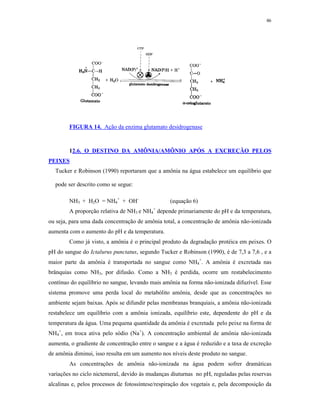 46




        FIGURA 14. Ação da enzima glutamato desidrogenase



        12.6. O DESTINO DA AMÔNIA/AMÔNIO APÓS A EXCREÇÃO PELOS
PEIXES
  Tucker e Robinson (1990) reportaram que a amônia na água estabelece um equilíbrio que

  pode ser descrito como se segue:

        NH3 + H2O = NH4+ + OH-                    (equação 6)
                                           +
        A proporção relativa de NH3 e NH4 depende primariamente do pH e da temperatura,
ou seja, para uma dada concentração de amônia total, a concentração de amônia não-ionizada
aumenta com o aumento do pH e da temperatura.
        Como já visto, a amônia é o principal produto da degradação protéica em peixes. O
pH do sangue do Ictalurus punctatus, segundo Tucker e Robinson (1990), é de 7,3 a 7,6 , e a
maior parte da amônia é transportada no sangue como NH4+. A amônia é excretada nas
brânquias como NH3, por difusão. Como a NH3 é perdida, ocorre um restabelecimento
contínuo do equilíbrio no sangue, levando mais amônia na forma não-ionizada difuzível. Esse
sistema promove uma perda local do metabólito amônia, desde que as concentrações no
ambiente sejam baixas. Após se difundir pelas membranas branquiais, a amônia não-ionizada
restabelece um equilíbrio com a amônia ionizada, equilíbrio este, dependente do pH e da
temperatura da água. Uma pequena quantidade da amônia é excretada pelo peixe na forma de
NH4+, em troca ativa pelo sódio (Na+). A concentração ambiental de amônia não-ionizada
aumenta, o gradiente de concentração entre o sangue e a água é reduzido e a taxa de excreção
de amônia diminui, isso resulta em um aumento nos níveis deste produto no sangue.
        As concentrações de amônia não-ionizada na água podem sofrer dramáticas
variações no ciclo nictemeral, devido às mudanças diuturnas no pH, reguladas pelas reservas
alcalinas e, pelos processos de fotossíntese/respiração dos vegetais e, pela decomposição da
 