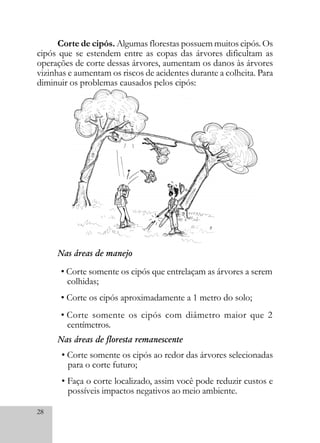 28
Corte de cipós. Algumas florestas possuem muitos cipós. Os
cipós que se estendem entre as copas das árvores dificultam as
operações de corte dessas árvores, aumentam os danos às árvores
vizinhas e aumentam os riscos de acidentes durante a colheita. Para
diminuir os problemas causados pelos cipós:
Nas áreas de manejo
• Corte somente os cipós que entrelaçam as árvores a serem
colhidas;
• Corte os cipós aproximadamente a 1 metro do solo;
• Corte somente os cipós com diâmetro maior que 2
centímetros.
Nas áreas de floresta remanescente
• Corte somente os cipós ao redor das árvores selecionadas
para o corte futuro;
• Faça o corte localizado, assim você pode reduzir custos e
possíveis impactos negativos ao meio ambiente.
 