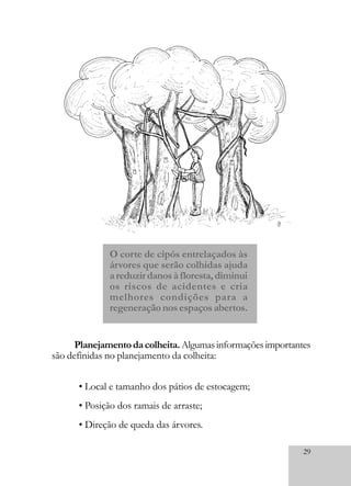 29
O corte de cipós entrelaçados às
árvores que serão colhidas ajuda
areduzirdanosàfloresta,diminui
os riscos de acidentes e cria
melhores condições para a
regeneração nos espaços abertos.
Planejamentodacolheita.Algumasinformaçõesimportantes
são definidas no planejamento da colheita:
• Local e tamanho dos pátios de estocagem;
• Posição dos ramais de arraste;
• Direção de queda das árvores.
 