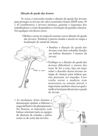 33
Direção de queda das árvores
Às vezes, é necessário mudar a direção de queda das árvores
para proteger as árvores de valor econômico futuro (DAP entre 30
e 45 centímetros) e árvores matrizes, garantir a segurança dos
trabalhadores e evitar desperdícios e formação de grandes clareiras.
Em qualquer um desses casos:
• Sinalize a direção de queda das
árvores com fitas coloridas fixadas
em balizas distantes 3 metros da
árvore.
• Defina e anote no mapa de manejo a nova direção de queda
das árvores. Também é preciso mudar e anotar no mapa a
localização do ramal de arraste.
• Verifique se a direção de queda das
árvores dificultará o arraste das
toras. Se for o caso, faça um traço
sobre o desenho dessas árvores no
mapa de manejo para indicar que
elas precisam ser traçadas. Caso
venha serrar a madeira com
motosserra ou serraria móvel, é
importante também observar qual o
melhor local para direcionar a queda
da árvore.
• As mudanças feitas durante a
demarcação ajudam a elaborar o
mapa definitivo do planejamento.
Na floresta, as marcações com
balizas orientam tanto as equipes
de abertura de estradas e pátios
como as de corte das árvores.
 