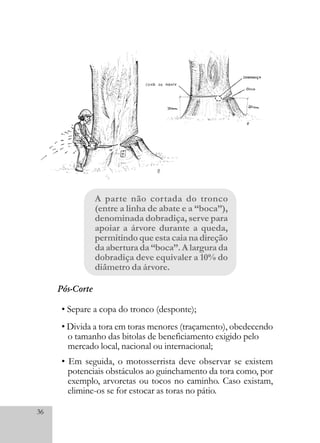 36
• Separe a copa do tronco (desponte);
• Divida a tora em toras menores (traçamento), obedecendo
o tamanho das bitolas de beneficiamento exigido pelo
mercado local, nacional ou internacional;
• Em seguida, o motosserrista deve observar se existem
potenciais obstáculos ao guinchamento da tora como, por
exemplo, arvoretas ou tocos no caminho. Caso existam,
elimine-os se for estocar as toras no pátio.
A parte não cortada do tronco
(entre a linha de abate e a “boca”),
denominada dobradiça, serve para
apoiar a árvore durante a queda,
permitindoqueestacaianadireção
da abertura da “boca”. A largura da
dobradiça deve equivaler a 10% do
diâmetro da árvore.
Pós-Corte
 