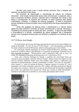 233
De fato, para poder curar e cantar precisa conhecer tudo a respeito dos
espíritos, da natureza e dos rituais.
No processo de preservação e manutenção da cultura, as mulheres
desenham uma função fundamental porque elas providenciam e preparam tudo o
que é necessário (enfeites, pinturas, cigarros) para a realização dos rituais e das
festas e acompanham as músicas dos cantores. O canto expressa todo ideário
cosmológico, simbólico e religioso do universo guajajara. O canto é importante
porque manifesta as fontes do poder como conhecimento das forças sobrenaturais e
naturais.
Ávida dos guajajara se balança entre o sobrenatural e o natural. Nessa
peleja de poder dominar e controlar as forças sobrenaturais e naturais, sobressai a
importância da pessoa posta no centro dos dois universos. A figura do pajé reflete
a ambivalência e a tensão contraditória da cultura guajajara: ele é necessário
porque cura; é perigoso porque pode virar feiticeiro e prejudicar os membros do seu
grupo.
14.7 O Povo Awá Guajá
Os Awuá Guajás são um povo de língua tupi-guarani presente em três terras indígenas no
estado do Maranhão – TI Caru, TI Awá e TI Alto Turiaçú - , com uma população considerada
de recente contato de mais de 400 pessoas, além de outros grupos que vivem isolados.
Os Awá-Guajá, segundo reportagem do Jornal O Globo (08-08-2013), presentam “uma
história de resistência contra o desmatamento e o extermínio da população conhecida como a
mais ameaçada do planeta”. Historicamente, toda a subsistência deles está na caça e na
coleta. Eles dependem diretamente da floresta para viver” (Uirá Garcia, 2013).
Junto com a Reserva Biológica do Gurupi, o território dos Awá-Guajá forma um
mosaico de áreas protegidas, chamado “Mosaico Gurupi”. Mesmo sendo uma região com alto
nível de proteção ambiental, dentro dessa área também estão grileiros e madeireiros que
derrubam inconsequentemente a floresta, encurralando os índios. “Essa área da Amazônia é
única, porque é a porta de entrada da floresta, e algumas espécies só existem lá”, cita a
reportagem. Eles foram contatados a partir de 1979, e alguns indivíduos permanecem fugindo
do contato com os brancos. Apesar de a sua terra já estar demarcada, homologada e registrada
pela União, eles enfrentam uma ameaça real. Ainda que a justiça já tenha determinado a
retirada dos não-índios de seu território, os Awá temem pela própria sobrevivência.
Foto: Márcio Gomes, 1981.
 