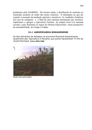 240
parâmetros pela SAGRIMA. Do mesmo modo, a distribuição de sementes no
município acontece de modo não muito criterioso. O desamparo no que diz
respeito à escoação da produção agrícola e incentivos. As condições climáticas
(no caso de estiagem), e a falta de uma estrutura permanente que monitore,
implemente e agregue a Agricultura Familiar da compra local (via merenda
escolar), como determina as regras do Sistema Educacional– numa perspectiva
da sustentabilidade do Campo e Cidade.
21.1 AGROPECUÁRIA BONJADINENSE
Os dois elementos de destaque na economia Municipal bonjardinense
atualmente são: Agricultura e Pecuária, que juntos representam 77,4% da
receita Municipal. Fonte: IBGE/2000
Roças sob queimadas
 