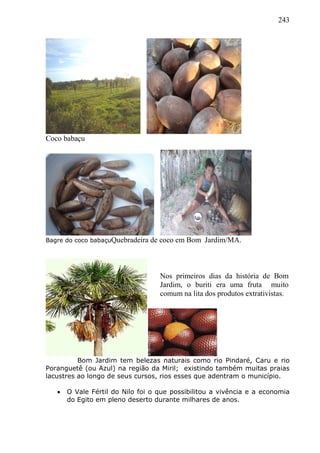 243
Coco babaçu
Bagre do coco babaçuQuebradeira de coco em Bom Jardim/MA.
Bom Jardim tem belezas naturais como rio Pindaré, Caru e rio
Poranguetê (ou Azul) na região da Miril; existindo também muitas praias
lacustres ao longo de seus cursos, rios esses que adentram o município.
 O Vale Fértil do Nilo foi o que possibilitou a vivência e a economia
do Egito em pleno deserto durante milhares de anos.
Nos primeiros dias da história de Bom
Jardim, o buriti era uma fruta muito
comum na lita dos produtos extrativistas.
 