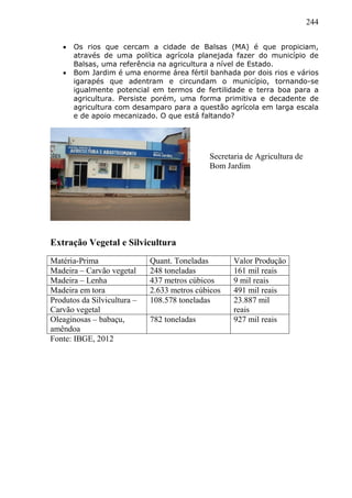 244
 Os rios que cercam a cidade de Balsas (MA) é que propiciam,
através de uma política agrícola planejada fazer do município de
Balsas, uma referência na agricultura a nível de Estado.
 Bom Jardim é uma enorme área fértil banhada por dois rios e vários
igarapés que adentram e circundam o município, tornando-se
igualmente potencial em termos de fertilidade e terra boa para a
agricultura. Persiste porém, uma forma primitiva e decadente de
agricultura com desamparo para a questão agrícola em larga escala
e de apoio mecanizado. O que está faltando?
Extração Vegetal e Silvicultura
Matéria-Prima Quant. Toneladas Valor Produção
Madeira – Carvão vegetal 248 toneladas 161 mil reais
Madeira – Lenha 437 metros cúbicos 9 mil reais
Madeira em tora 2.633 metros cúbicos 491 mil reais
Produtos da Silvicultura –
Carvão vegetal
108.578 toneladas 23.887 mil
reais
Oleaginosas – babaçu,
amêndoa
782 toneladas 927 mil reais
Fonte: IBGE, 2012
Secretaria de Agricultura de
Bom Jardim
 