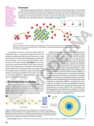Solvatação
Além da participação de moléculas orgânicas em diversos processos relacionados à manutenção
da vida naTerra, é bastante relevante a participação de substâncias iônicas (formadas por íons), como
os sais minerais transportados pelo xilema em plantas vasculares. Quando as moléculas de água se
organizam em torno das partículas de soluto (sejam elas moléculas ou íons), tem-se o fenômeno
conhecido como solvatação. Observe a representação na Figura 4.10.
Retome
conhecimentos do
Ensino Fundamental
relacionados à
importância dos
sais minerais na
manutenção da
vida, usando como
exemplo o transporte
da seiva bruta nas
plantas. Procure
retomar também o
conhecimento acerca
de soluções aquosas,
bem como da
formação de íons.
A solvatação ocorre por causa do caráter polar da
molécula de água: a carga parcial negativa do átomo de
oxigênio é atraída pela carga do cátion do soluto e a carga
parcialpositivadecadaátomodehidrogênioéatraídapelo
ânion do soluto, no caso das substâncias iônicas. Esse é
um tipo de interação chamado íon-dipolo. Ela é menos
intensa que a atração eletrostática entre cátions e ânions,
porém é mais intensa que as interações intermoleculares
apresentadas.Comoconsequênciadessainteração,osíons
docompostoiônicoseseparam,ouseja,ocorredissociação
quando a substância se solubiliza. No entanto, nem todos
os compostos iônicos são apreciavelmente solúveis em
água em qualquer temperatura.
De moléculas a células
Aoestudaromundonatural,nota-sequeexistemvários
níveis de organização molecular, desde espécies químicas
isoladas até conjuntos de moléculas formando estruturas
complexas, muitas com elevado grau de simetria, que per-
mitem a compartimentalização de reações químicas.
AQuímicaSupramolecularéaáreadoconhecimentoque
estuda os fenômenos associados a esses agregados organi-
zados de moléculas, os quais se formam espontaneamente
pela simples mistura dos componentes, ou seja, se carac-
terizam como sistemas automontados, e são mantidos por
interações intermoleculares. A formação desses agregados
pode ser observada, por exemplo, quando são colocadas
em água moléculas que apresentam em sua estrutura duas
regiões com características de polaridade distintas: polar/
hidrofílicaeapolar/hidrofóbica(Fig.4.11A).Moléculascom
essa característica estrutural são denominadas anfifílicas ou
anfipáticas. Em ambiente aquoso, os compostos anfipáticos
se auto-organizam de forma que o contato de suas regiões
apolares com a água seja minimizado. A partir de certa con-
centraçãomínimaedependendo,porexemplo,dageometria
molecular, os compostos anfifílicos se organizam em bica-
madas ou em micelas. Quando esses agregados se formam,
partículas dissolvidas ou em suspensão na água podem ser
confinadas em seu interior (Fig. 4.11 B). A bicamada é um
tipodeagregadosupramolecularquecompõeamembrana
que delimita as células. A Química Supramolecular também
aparece na montagem de capsídeos virais.
ILUSTRAÇÃO:
NELSON
MATSUDA
Figura 4.11 (A) Fórmula estrutural do ácido undecanoico, um exemplo de molécula
anfifílica, na qual se destaca em azul a região hidrofílica e em amarelo a região hidrofóbica.
(B) Modelo submicroscópico de um agregado supramolecular do tipo bicamada conhecido
como lipossomo. Essas estruturas são empregadas, por exemplo, na indústria farmacêutica
para encapsular substâncias. (Imagens sem escala; cores-fantasia.)
Fonte consultada: NELSON, D. L.; COX, M. M. Princípios de Bioquímica de Lehninger. Tradução: Ana Beatriz G. da Veiga et al. 6. ed. Porto Alegre: Artmed, 2014.
Região apolar
Cavidade
aquosa
Região polar
da molécula
B
CH2
CH2
CH2
C
OH
O
CH2
CH2
CH2
CH2
CH2
CH2
H3
C
Região polar
Região apolar
+
–
–
+
–
+
–
+
–
+
+
–
+
–
+
–
+
–
+
–
+
–
–
+
–
+
–
+
+
–
+
–
+
–
NaCl(s)
–
Cl–
+
Na+
H2
O
–
–
+
+
Íon Na+
solvatado
Íon Cl2
solvatado
f2 f+
ADILSON
SECCO
Figura 4.10 Modelo submicroscópico da solubilização do cloreto de sódio em água. O número de moléculas de água
associadas aos íons não é necessariamente o representado e depende de diversos fatores, como o raio iônico. (Imagens
sem escala; cores-fantasia.)
A
54
Reprodução
proibida.
Art.184
do
Código
Penal
e
Lei
9.610
de
19
de
fevereiro
de
1998.
 