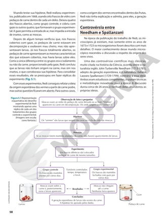 Observação de fatos e perguntas
Moscas voam ao redor do pedaço de carne deixada ao ar livre. “Vermes”
aparecem na carne em decomposição. De onde surgem esses “vermes”?
Hipótese
Os “vermes” são larvas que surgem dos ovos no ciclo de vida das moscas.
Previsão
Se as moscas forem mantidas afastadas da carne, não haverá aparecimento de larvas.
Experimento
Resultados
Conclusões
Em frascos idênticos são colocados
pedaços de carne de mesmo tamanho.
Larvas
Gaze
Pedaço de carne
A geração espontânea de larvas não ocorre da carne.
A hipótese foi apoiada pelos dados.
Grupo controle
Os frascos são mantidos
abertos por vários dias.
Grupo experimental
Os frascos são mantidos
fechados com gaze por
vários dias.
Moscas não chegam
até a carne.
Nenhuma larva aparece.
Moscas voam sobre a
carne e, posteriormente,
ovos e larvas aparecem.
Variáveis controladas:
tempo, temperatura
e local.
Visando testar sua hipótese, Redi realizou experimen-
tos, publicados em 1668, usando oito frascos de vidro com
pedaços de carne dentro de cada um deles. Deixou quatro
dos frascos abertos, como grupo controle, e cobriu com
gaze os outros quatro, que formavam o grupo experimen-
tal. A gaze permitia a entrada de ar, mas impedia a entrada
de insetos, como as moscas.
Depois de algum tempo verificou que, nos frascos
cobertos com gaze, os pedaços de carne estavam em
decomposição e exalavam mau cheiro, mas não apre-
sentavam larvas. Já nos frascos totalmente abertos, os
pedaçosdecarneapresentavamasmesmascaracterísticas
dos que estavam cobertos, mas havia larvas sobre eles.
Como a única diferença entre os grupos era o isolamento
ou não da carne, proporcionado pela gaze, Redi concluiu
que as larvas não tinham origem na carne, mas sim nos
insetos, o que corroborava sua hipótese. Para consolidar
esses resultados, ele se preocupou em fazer réplicas do
experimento (Fig. 5.1).
Comessesexperimentos,Rediconseguiurefutaraideia
da origem espontânea dos vermes a partir de carne podre,
mas outras questões ficaram em aberto. Para outros casos,
ILUSTRAÇÃO:
NELSON
MATSUDA
Figura 5.1 Representação
esquemática do desenho
experimental de Redi
mostrando apenas uma
réplica de cada um dos
tratamentos dos grupos
controle e experimental.
(Imagens sem escala;
cores-fantasia.)
como a origem dos vermes encontrados dentro das frutas,
Redi não tinha explicação e admitia, para eles, a geração
espontânea.
Controvérsia entre
Needham e Spallanzani
Na época da publicação do trabalho de Redi, os mi-
croscópios já existiam, mas somente entre os anos de
1673 e 1723 os microrganismos foram descritos com mais
detalhes. O maior conhecimento desse mundo micros-
cópico reacendeu a discussão a respeito da origem dos
seres vivos.
Uma das controvérsias científicas mais clássicas,
muito citada na história da Ciência, ocorreu entre o na-
turalista inglês John Turberville Needham (1713-1781),
adepto da geração espontânea, e o naturalista italiano
Lazzaro Spallanzani (1729-1799), contrário a essa ideia.
Ambos eram estudiosos competentes, e usaram técnicas
e metodologias inovadoras para a época. A discussão
durou cerca de 26 anos, e nenhum deles abandonou as
próprias ideias.
58
Reprodução
proibida.
Art.184
do
Código
Penal
e
Lei
9.610
de
19
de
fevereiro
de
1998.
 