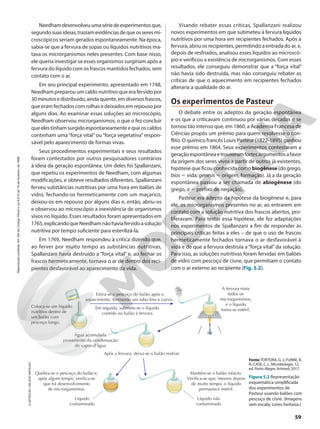 Needhamdesenvolveuumasériedeexperimentosque,
segundosuasideias,traziamevidênciasdequeosseresmi-
croscópicos seriam gerados espontaneamente. Na época,
sabia-se que a fervura de sopas ou líquidos nutritivos ma-
tava os microrganismos neles presentes. Com base nisso,
ele queria investigar se esses organismos surgiriam após a
fervura do líquido com os frascos mantidos fechados, sem
contato com o ar.
Em seu principal experimento, apresentado em 1748,
Needham preparou um caldo nutritivo que era fervido por
30minutosedistribuído,aindaquente,emdiversosfrascos,
que eram fechados com rolhas e deixados em repouso por
alguns dias. Ao examinar essas soluções ao microscópio,
Needham observou microrganismos, o que o fez concluir
queelestinhamsurgidoespontaneamenteequeoscaldos
continham uma “força vital”ou “força vegetativa”respon-
sável pelo aparecimento de formas vivas.
Seus procedimentos experimentais e seus resultados
foram contestados por outros pesquisadores contrários
à ideia da geração espontânea. Um deles foi Spallanzani,
que repetiu os experimentos de Needham, com algumas
modificações, e obteve resultados diferentes. Spallanzani
ferveu substâncias nutritivas por uma hora em balões de
vidro, fechando-os hermeticamente com um maçarico,
deixou-os em repouso por alguns dias e, então, abriu-os
e observou ao microscópio a inexistência de organismos
vivos no líquido. Esses resultados foram apresentados em
1765,explicandoqueNeedhamnãohaviafervidoasolução
nutritiva por tempo suficiente para esterilizá-la.
Em 1769, Needham respondeu à crítica dizendo que,
ao ferver por muito tempo as substâncias nutritivas,
Spallanzani havia destruído a “força vital” e, ao fechar os
frascos hermeticamente, tornava o ar de dentro dos reci-
pientes desfavorável ao aparecimento da vida.
ILUSTRAÇÃO:
NELSON
MATSUDA
Fonte:TORTORA, G. J.; FUNKE, B.
R.; CASE, C. L. Microbiologia. 12.
ed. Porto Alegre: Artmed, 2017.
Figura 5.2 Representação
esquemática simplificada
dos experimentos de
Pasteur usando balões com
pescoço de cisne. (Imagens
sem escala; cores-fantasia.)
Visando rebater essas críticas, Spallanzani realizou
novos experimentos em que submeteu à fervura líquidos
nutritivos por uma hora em recipientes fechados. Após a
fervura, abriu os recipientes, permitindo a entrada do ar, e,
depois de resfriados, analisou esses líquidos ao microscó-
pio e verificou a existência de microrganismos. Com esses
resultados, ele conseguiu demonstrar que a “força vital”
não havia sido destruída, mas não conseguiu rebater as
críticas de que o aquecimento em recipientes fechados
alteraria a qualidade do ar.
Os experimentos de Pasteur
O debate entre os adeptos da geração espontânea
e os que a criticavam continuou por várias décadas e se
tornou tão intenso que, em 1860, a Academia Francesa de
Ciências propôs um prêmio para quem resolvesse o con-
flito. O químico francês Louis Pasteur (1822-1895) ganhou
esse prêmio em 1864. Seus experimentos contestaram a
geraçãoespontâneaetrouxeramfortesargumentosafavor
da origem dos seres vivos a partir de outros já existentes,
hipótese que ficou conhecida como biogênese (do grego,
bíos 5 vida; génesis 5 origem, formação). Já a da geração
espontânea passou a ser chamada de abiogênese (do
grego, a 5 prefixo de negação).
Pasteur era adepto da hipótese da biogênese e, para
ele, os microrganismos presentes no ar, ao entrarem em
contato com a solução nutritiva dos frascos abertos, pro-
liferavam. Para testar essa hipótese, ele fez adaptações
nos experimentos de Spallanzani a fim de responder às
principais críticas feitas a eles – de que o uso de frascos
hermeticamente fechados tornava o ar desfavorável à
vida e de que a fervura destruía a “força vital”da solução.
Para isso, as soluções nutritivas foram fervidas em balões
de vidro com pescoço de cisne, que permitiam o contato
com o ar externo ao recipiente (Fig. 5.2).
Coloca-se um líquido
nutritivo dentro de
um balão com
pescoço longo.
Estira-se o pescoço do balão após o
aquecimento, formando um tubo fino e curvo.
Em seguida, submete-se o líquido
contido no balão à fervura.
Água acumulada
proveniente da condensação
do vapor-d'água
A fervura mata
todos os
microrganismos,
e o líquido
torna-se estéril.
Líquido não
contaminado
Líquido
contaminado
Após a fervura, deixa-se o balão resfriar.
Mantém-se o balão intacto.
Verifica-se que, mesmo depois
de muito tempo, o líquido
permanece estéril.
Quebra-se o pescoço do balão e,
após algum tempo, verifica-se
que há desenvolvimento
de microrganismos.
59
Reprodução
proibida.
Art.184
do
Código
Penal
e
Lei
9.610
de
19
de
fevereiro
de
1998.
 
