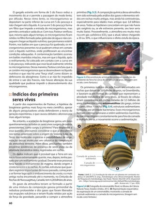 O gargalo estreito em forma de S do frasco reduz o
movimento do ar e permite a passagem de modo lento,
por difusão. Nesse ritmo lento, os microrganismos se
depositam na parte inferior da curva em S do pescoço e
não chegam até o líquido. A curva em S do pescoço forma
um filtro que impede a entrada de microrganismos, mas
permite a entrada e saída do ar. Com isso, Pasteur verificou
que, mesmo após algum tempo, os microrganismos ficam
retidosnofiltroformadopelasgotículasdeáguaenãocon-
seguemchegaraolíquidonutritivo,quepermaneceestéril.
Porém, nos balões em que o pescoço foi quebrado, os mi-
crorganismos presentes no ar puderam entrar em contato
com o líquido nutritivo, onde proliferaram ao encontrar
condições adequadas. A contaminação também ocorreu
em balões mantidos intactos, mas em que o líquido, após
o resfriamento, foi colocado em contato com a curva em
S do pescoço, indicando que esse local realmente retinha
os microrganismos. Dessa maneira, Pasteur concluiu que o
arcontémmicrorganismosquesedesenvolvemnolíquido
nutritivo e que não há uma “força vital”, como diziam os
defensores da abiogênese. Como o ar não foi impedido
de entrar e sair dos frascos, não houve alteração da sua
qualidade que pudesse impedir o desenvolvimento dos
microrganismos.
Indícios dos primeiros
seres vivos
A partir dos experimentos de Pasteur, a hipótese da
biogênese ganhou mais força no meio científico, apesar
de alguns pesquisadores ainda defenderem a teoria da
geração espontânea, o que causou debates calorosos por
mais algum tempo.
No entanto, a aceitação da biogênese gerou um novo
questionamento: se todos os seres vivos surgem de outros
preexistentes, como surgiu o primeiro? Para responder a
essa questão, precisamos considerar o que já discutimos
nos temas anteriores sobre a origem do Sistema Solar, da
Terra, das moléculas orgânicas e possibilidades de orga-
nização dessas moléculas em células e da composição
da atmosfera terrestre. Além disso, precisamos também
encontrar evidências da presença de seres vivos ou da
atividade metabólica deles, registradas em rochas.
Os dados indicam que é provável que a Terra em seu
início fosse extremamente quente, mas, depois, tenha pas-
sado por um resfriamento gradual. Durante esse processo
teria havido o resfriamento de magma, dando origem à
crosta terrestre e às rochas. As rochas, estruturas que guar-
dam registros importantes do nosso passado, começaram
a se formar logo após o endurecimento da crosta, e a mais
antiga rocha encontrada até o momento, no Cinturão de
RochasdeNuvvuagittuq,Canadá,tem4,28bilhõesdeanos.
Os gases da atmosfera teriam se formado a partir
de uma mistura da composição gasosa primordial da
nebulosa protoestelar e dos gases que foram liberados
nas erupções vulcânicas e teriam ficado retidos por ação
da força da gravidade, passando a compor a atmosfera
RICHARD
BIZLEY/
SCIENCE
PHOTO
LIBRARY/
FOTOARENA
DADEROT/CC0
1.0/WIKIMEDIA
FOUNDATION,
INC.
Figura 5.3 Reconstituição artística das prováveis condições do
ambiente da Terra há cerca de 3,9 bilhões de anos. (Imagem sem
escala; cores-fantasia.)
A
Figura 5.4 (A) Fotografia de estromatólito fóssil, no Museu de Ciência
Natural,Texas, Estados Unidos, 2012. (B) Representação esquemática
da organização de um estromatólito, mostrando a camada de
acúmulo sedimentar e a camada de microrganismos. (Imagem sem
escala; cores-fantasia.)
Fonte: LAHR, D. J. G. A evolução da vida em um planeta em constante mu-
dança. In: GALANTE, D. (org.). Astrobiologia: uma ciência emergente. Núcleo
de Pesquisa em Astrobiologia. São Paulo: Tikinet. IAG/USP, 2016. Disponível
em: <https://www.iag.usp.br/astronomia/sites/default/files/astrobiologia.
pdf>. Acesso em: 17 jun. 2020.
primitiva(Fig.5.3).Acomposiçãoquímicadessaatmosfera
tem sido estimada pela análise dos gases e elementos reti-
dos em rochas muito antigas, mas ainda há controvérsias,
especialmente para idades mais antigas que 3,8 bilhões
de anos.Todas as hipóteses concordam em que não havia
gás oxigênio ou, se ele estivesse presente, seu teor seria
muito baixo. Provavelmente, a atmosfera era muito mais
rica em gás carbônico (CO2) que a atual, talvez chegando
a 20 ou 30%, o que influenciaria o efeito estufa da época.
E
B
E
R
E
V
A
N
G
E
L
I
S
T
A
Camada de acúmulo
sedimentar
Camada de
microrganismos
Os primeiros indícios de vida foram encontrados em
rochas que datam de 3,8 bilhões de anos, na Groenlândia,
e baseiam-se em formas do carbono que representam a
atividade metabólica de seres vivos. Já fósseis de células
foram encontrados em rochas datadas de 3,5 bilhões de
anos, conhecidas como estromatólitos (do grego, strôma
5 cama; líthos 5 rocha) (Fig.5.4), estruturas sedimentares
formadas por atividade bacteriana. Esses microrganismos
formam colônias laminares e retêm sedimentos marinhos.
As bactérias migram constantemente para fora da camada
e multiplicam-se, e novamente ocorre a sedimentação.
B
60
Reprodução
proibida.
Art.184
do
Código
Penal
e
Lei
9.610
de
19
de
fevereiro
de
1998.
 