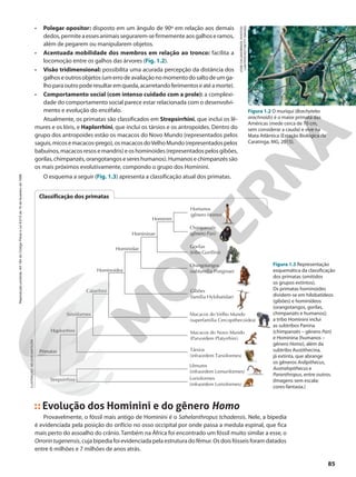 Livro_lopes-rosso_evo_uni.pdf