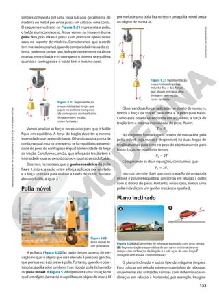 Livro_lopes-rosso_evo_uni.pdf