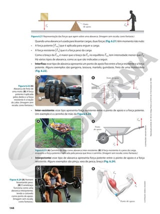 Livro_lopes-rosso_evo_uni.pdf