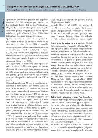 Melipona
98
apresentam crescimento precoce, são populosas
(em torno de 2.000 indivíduos por colônia), com
boa produção de mel (de 2 a 3 litros/colônia/ano)
(Figuras 2 e 3) e com fácil adaptação aos diferentes
ambientes quando comparadas às outras espécies
criadas na região (Oliveira & Aidar, 2006), como
foi também observado no presente estudo.
Quando comparado com pólens produzidos
por outras espécies de interesse produtivo no
Amazonas, o pólen de M. (M.) s. merrillae
apresentoucaracterísticasextremamentenutritivas,
como o alto teor de lipídios (3,4±0,1%) e proteínas
(23,8±0,3%), sendo o valor de proteínas mais alto
do que muitas fontes proteicas amazônicas como
são as diferentes espécies de peixes e a castanha da
Amazônia (Souza et al., 2004).
A Melipona (M.) s. merrillae é uma espécie que
coleta o néctar de diferentes espécies de breu ou
almécega (Protium spp., Burseraceae) ao longo
de todo o ano, sendo que estudos indicam que o
mel gerado a partir do néctar do breu é bastante
amargo e desagradável (Marques-Souza & Kerr,
2003).
Como observado para M. (M.) s. merrillae, ao ser
realizada a transferências dos ninhos (caixas ou
troncos) de M. (M.) s. aff. merrillae de um local
para outro, é aconselhável manter uma distância
entre os locais de no mínimo 150 m para que
não ocorra a perda de abelhas campeiras que
retornam ao local de origem (Aidar & Rossini,
2002). No momento da transferência do tronco
para a caixa, quando a colônia está forte, não há
maiores problemas na transferência de potes de
pólen (saburá) que estiverem em bom estado, ou
seja, não rompidos, nem abertos (Nogueira-Neto,
1997). O transporte de colmeias dessa espécie
para fora da região ecológica onde ocorre não é
indicado, por aumentar o risco da perda da colônia
por diferenças climáticas, como temperatura, por
exemplo, causando a ausência de fecundação
mesmo na presença de rainhas virgens e zangões
na colônia, podendo resultar em posturas inférteis
(Nogueira-Neto, 1997).
Segundo Kerr et al. (1967), em ninhos de
M. (M.) s. merrillae na região de Manaus,
alguns Meliponicultores relataram a produção
de até 20 L de mel por ano, produção esta
quase o dobro daquela obtida por colmeias
de Apis mellifera scutellata na mesma região.
Construção da caixa para a espécie: Modelo
Cacuí: tamanho M (Figuras 73 a 79; pág. 52). Para
esta espécie se utiliza até cinco compartimentos
sendo o primeiro com orifício de entrada e sem
sarrafos; o segundo e terceiro com dois sarrafos
na parte de baixo e dois na parte de cima, como
sobreninhos; e o quarto e quinto com quatro
sarrafos embaixo, como melgueira. A colocação
correta dos sarrafos nos sobreninhos permite
realizar divisões da mesma maneira que se faz com
o modelo Fernando Oliveira (Schwade, 2011).
Modelo PNN: tamanho G (Figuras 80 a 91;
pág. 54). Para colmeias maiores, usar 3 gavetas
(Nogueira-Neto, 1997). Nogueira-Neto (1997)
sugere ainda que essa espécie possa se adaptar bem
às colmeias de tamanho mediano, com quadros de
aumento, sendo, entretanto, a melhor opção para
ela, as colmeias de tamanho grande, especialmente
quando a região é rica em néctar e pólen.
Defesa contra ataque de pragas: Para defender-se
doataquedeformigas,forídeos(Diptera,Phoridae)
e abelhas limão (Lestrimelitta spp.), a espécie M.
(M.) s. merrillae tem o hábito de rolar bolinhas
de cerume ou geoprópolis, as quais possuem mais
de um centímetro de diâmetro, utilizando-as para
tapar, pelo lado de dentro, a entrada da colônia ou
orifícios que apareçam na caixa (Kerr et al., 2001).
Esse mesmo comportamento foi observado em M.
(M.) s. aff. merrillae (Figura 175).
Há relatos de ataques e furtos nas colônias de
M. (M.) s. merrillae realizados pela M. fuliginosa
(uruçu-boi). Há também registros de operárias
Nomes populares: uruçu boca-de-renda, jandaíra, jandaíra amarela de Manaus, jandaíra alaranjada da Amazônia.
Melipona (Michmelia) seminigra aff. merrillae Cockerell, 1919
 