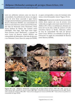 Melipona
104
tanto em ambientes naturais como em áreas de
comunidades. Em ambientes de várzea e em alguns
locais de terra firme associada à água branca
(margemdireitaSolimões),predominantementena
Reserva Mamirauá (RDSM), nas comunidades do
Barroso (setor Barroso), Santa Luzia do Horizonte,
São João do Horizonte (setor Horizonte), Punã,
Nossa Senhora de Fátima, São Caetano (setor
Liberdade), Sítio Ingá, Tupã Supé (setor Ingá),
Novo Pirarara (setor Mamirauá), e somente no
setor Coraci da Reserva Amanã (RDSA), nas
comunidades de Matusalém e São João do Ipecaçu,
e no Flutuante Coraci (base de campo do IDSM),
as quais correspondem a áreas de transição entre
várzea e terra firme/paleo-várzea1 (
Figura 193.A).
Nidificação:Nopresenteestudoforamencontrados
ninhos desta espécie em ocos de árvores vivas
conhecidasnaregiãocomomatá-matá(Eschweilera
albiflora (DC.) Diers, Lecythidaceae), distantes em
torno de 8 m do chão, orelha de cachorro (Crudia
amazônica Spruce ex Benth., Fabaceae), ambos
na área da comunidade São João do Ipecaçu
(setor Coraci, RDSA) e na embaúba (Cecropia sp.,
Urticaceae) na região da comunidade do Barroso
(setor Barroso, RDSM).
Figuras 185 a 193 - Melipona (Michmelia) seminigra aff. pernigra Moure & Kerr, 1950: 185 e 186 - Entrada em
ninho natural; 187- Entrada em caixa de criação; 188 e 189 - Construção de potes de armazenamento de mel; 190 - Rainha
sobre camadas de invólucro; 191 a 192 - Visita às flores marginais de várzea na RDSM; 193 - Visita às flores do jambeiro na
comunidade do Ingá, RDSM.
Nomes populares: jandaíra preta (AM); ngài-ñy-tyk-ti, udjy.
Melipona (Michmelia) seminigra aff. pernigra Moure & Kerr, 1950
1
Segundo Irion et al., 2011
 