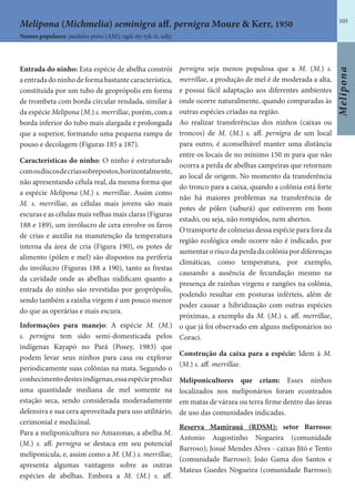 105
Melipona
Entrada do ninho: Esta espécie de abelha constrói
aentradadoninhodeformabastantecaracterística,
constituída por um tubo de geoprópolis em forma
de trombeta com borda circular rendada, similar à
da espécie Melipona (M.) s. merrillae, porém, com a
borda inferior do tubo mais alargada e prolongada
que a superior, formando uma pequena rampa de
pouso e decolagem (Figuras 185 a 187).
Características do ninho: O ninho é estruturado
comosdiscosdecriassobrepostos,horizontalmente,
não apresentando célula real, da mesma forma que
a espécie Melipona (M.) s. merrillae. Assim como
M. s. merrillae, as células mais jovens são mais
escuras e as células mais velhas mais claras (Figuras
188 e 189), um invólucro de cera envolve os favos
de crias e auxilia na manutenção da temperatura
interna da área de cria (Figura 190), os potes de
alimento (pólen e mel) são dispostos na periferia
do invólucro (Figuras 188 a 190), tanto as frestas
da cavidade onde as abelhas nidificam quanto a
entrada do ninho são revestidas por geoprópolis,
sendo também a rainha virgem é um pouco menor
do que as operárias e mais escura.
Informações para manejo: A espécie M. (M.)
s. pernigra tem sido semi-domesticada pelos
indígenas Kayapó no Pará (Posey, 1983) que
podem levar seus ninhos para casa ou explorar
periodicamente suas colônias na mata. Segundo o
conhecimentodestesindígenas,essaespécieproduz
uma quantidade mediana de mel somente na
estação seca, sendo considerada moderadamente
defensiva e sua cera aproveitada para uso utilitário,
cerimonial e medicinal.
Para a meliponicultura no Amazonas, a abelha M.
(M.) s. aff. pernigra se destaca em seu potencial
meliponícula, e, assim como a M. (M.) s. merrillae,
apresenta algumas vantagens sobre as outras
espécies de abelhas. Embora a M. (M.) s. aff.
pernigra seja menos populosa que a M. (M.) s.
merrillae, a produção de mel é de moderada a alta,
e possui fácil adaptação aos diferentes ambientes
onde ocorre naturalmente, quando comparadas às
outras espécies criadas na região.
Ao realizar transferências dos ninhos (caixas ou
troncos) de M. (M.) s. aff. pernigra de um local
para outro, é aconselhável manter uma distância
entre os locais de no mínimo 150 m para que não
ocorra a perda de abelhas campeiras que retornam
ao local de origem. No momento da transferência
do tronco para a caixa, quando a colônia está forte
não há maiores problemas na transferência de
potes de pólen (saburá) que estiverem em bom
estado, ou seja, não rompidos, nem abertos.
O transporte de colmeias dessa espécie para fora da
região ecológica onde ocorre não é indicado, por
aumentaroriscodaperdadacolôniapordiferenças
climáticas, como temperatura, por exemplo,
causando a ausência de fecundação mesmo na
presença de rainhas virgens e zangões na colônia,
podendo resultar em posturas inférteis, além de
poder causar a hibridização com outras espécies
próximas, a exemplo da M. (M.) s. aff. merrillae,
o que já foi observado em alguns meliponários no
Coraci.
Construção da caixa para a espécie: Idem à M.
(M.) s. aff. merrillae.
Meliponicultores que criam: Esses ninhos
localizados nos meliponários foram econtrados
em matas de várzea ou terra firme dentro das áreas
de uso das comunidades indicadas.
Reserva Mamirauá (RDSM): setor Barroso:
Antonio Augostinho Nogueira (comunidade
Barroso); Josué Mendes Alves - caixas Jitó e Tento
(comunidade Barroso); João Gama dos Santos e
Mateus Guedes Nogueira (comunidade Barroso);
Nomes populares: jandaíra preta (AM); ngài-ñy-tyk-ti, udjy.
Melipona (Michmelia) seminigra aff. pernigra Moure & Kerr, 1950
 