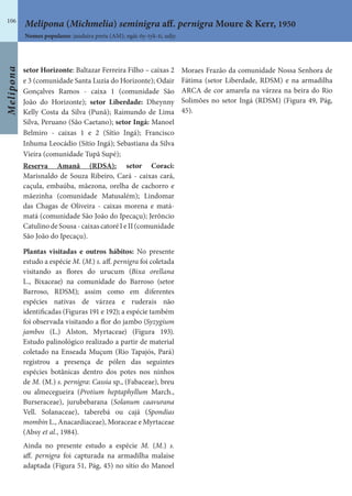 Melipona
106
setor Horizonte: Baltazar Ferreira Filho – caixas 2
e 3 (comunidade Santa Luzia do Horizonte); Odair
Gonçalves Ramos - caixa 1 (comunidade São
João do Horizonte); setor Liberdade: Dheynny
Kelly Costa da Silva (Punã); Raimundo de Lima
Silva, Peruano (São Caetano); setor Ingá: Manoel
Belmiro - caixas 1 e 2 (Sítio Ingá); Francisco
Inhuma Leocádio (Sítio Ingá); Sebastiana da Silva
Vieira (comunidade Tupã Supé);
Reserva Amanã (RDSA): setor Coraci:
Marisnaldo de Souza Ribeiro, Cará - caixas cará,
caçula, embaúba, mãezona, orelha de cachorro e
mãezinha (comunidade Matusalém); Lindomar
das Chagas de Oliveira - caixas morena e matá-
matá (comunidade São João do Ipecaçu); Jerôncio
CatulinodeSousa-caixascatoréIeII(comunidade
São João do Ipecaçu).
Plantas visitadas e outros hábitos: No presente
estudo a espécie M. (M.) s. aff. pernigra foi coletada
visitando as flores do urucum (Bixa orellana
L., Bixaceae) na comunidade do Barroso (setor
Barroso, RDSM); assim como em diferentes
espécies nativas de várzea e ruderais não
identificadas (Figuras 191 e 192); a espécie também
foi observada visitando a flor do jambo (Syzygium
jambos (L.) Alston, Myrtaceae) (Figura 193).
Estudo palinológico realizado a partir de material
coletado na Enseada Muçum (Rio Tapajós, Pará)
registrou a presença de pólen das seguintes
espécies botânicas dentro dos potes nos ninhos
de M. (M.) s. pernigra: Cassia sp., (Fabaceae), breu
ou almecegueira (Protium heptaphyllum March.,
Burseraceae), jurubebarana (Solanum caavurana
Vell. Solanaceae), taberebá ou cajá (Spondias
mombin L., Anacardiaceae), Moraceae e Myrtaceae
(Absy et al., 1984).
Ainda no presente estudo a espécie M. (M.) s.
aff. pernigra foi capturada na armadilha malaise
adaptada (Figura 51, Pág, 45) no sítio do Manoel
Nomes populares: jandaíra preta (AM); ngài-ñy-tyk-ti, udjy.
Melipona (Michmelia) seminigra aff. pernigra Moure & Kerr, 1950
Moraes Frazão da comunidade Nossa Senhora de
Fátima (setor Liberdade, RDSM) e na armadilha
ARCA de cor amarela na várzea na beira do Rio
Solimões no setor Ingá (RDSM) (Figura 49, Pág,
45).
 