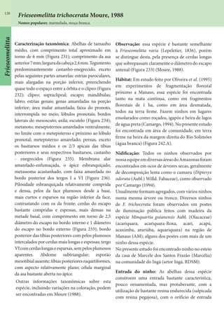 126
Caracterização taxonômica: Abelhas de tamanho
médio, com comprimento total aproximado em
torno de 6 mm (Figura 231); comprimento da asa
anterior7mm;larguradacabeça2,4mm.Tegumento
predominantemente castanho-enegrecido, exceto
pelas seguintes partes amarelas: estrias paroculares,
mais alargadas na porção inferior, preenchendo
quase todo o espaço entre a órbita e o clípeo (Figura
232); clípeo; supraclipeal; escapo; mandíbulas;
labro; estrias genais; genas amareladas na porção
inferior; área malar amarelada; faixa do pronoto,
interrompida no meio; lóbulos pronotais; bordos
laterais do mesoscuto; axila; escutelo (Figura 234);
metanoto; mesepisternos amarelados ventralmente,
no limite com o metepisterno e próximo ao lóbulo
pronotal; metepisterno amarelado; pernas, exceto
os basitarsos médios e os 2/3 apicais das tíbias
posteriores e seus respectivos basitarsos, castanho
- enegrecidos (Figura 235). Membrana alar
amarelado-enfumaçada, o ápice esbranquiçado;
metassoma acastanhado, com faixa amarelada no
bordo posterior dos tergos I a VI (Figura 236).
Pilosidade esbranquiçada relativamente comprida
e densa, pelos da face plumosos desde a base,
mais curtos e esparsos na região inferior da face,
contrastando com os da fronte; cerdas do escapo
bastante compridas e espessas, mais densas na
metade basal, com comprimento em torno de 2,5
diâmetro do escapo no bordo interno e 1 diâmetro
do escapo no bordo externo (Figura 233); bordo
posterior das tíbias posteriores com pelos plumosos
intercalados por cerdas mais longas e espessas; tergo
VIcomcerdaslongaseesparsas,sempelosplumosos
aparentes. Abdome subtriangular; esporão
mesotibial ausente; tíbias posteriores raquetiformes,
com aspecto relativamente plano; célula marginal
da asa bastante aberta no ápice.
Outras informações taxonômicas sobre esta
espécie, incluindo variações na coloração, podem
ser encontradas em Moure (1988).
Observação: essa espécie é bastante semelhante
à Frieseomelitta varia (Lepeletier, 1836), porém
se distingue desta, pela presença de cerdas longas
que sobrepassam claramente o diâmetro do escapo
antenal (Figura 233) (Moure, 1988).
Hábitat: Em estudo feito por Oliveira et al. (1995)
em experimentos de fragmentação florestal
próximo a Manaus, essa espécie foi encontrada
tanto na mata contínua, como em fragmentos
florestais de 1 ha, como em área desmatada,
todos na terra firme. Fazem ninhos em lugares
ensolarados como roçados, igapós e beira de lagos
de água preta (Camargo, 1994). No presente estudo
foi encontrada em área de comunidade, em terra
firme na beira da margem direita do Rio Solimões
(água branca) (Figura 242.A).
Nidificação: Todos os ninhos observados por
nossaequipeemdiversasáreasdoAmazonasforam
encontrados em ocos de árvores secas, geralmente
de decomposição lenta como o cumaru (Dipteryx
odorata (Aubl.) Willd. Fabaceae), como observado
por Camargo (1994).
Usualmente formam agregados, com vários ninhos
numa mesma árvore ou tronco. Diversos ninhos
de F. trichocerata foram observados em postes
de iluminação pública feitos com madeira da
espécie Minquartia guianensis Aubl. (Olacaceae)
(acariquara, acariquara-Roxa, acari, acapú,
acaximba, arariúba, aquariquara) na região de
Manaus (AM), alguns dos postes com mais de um
ninho dessa espécie.
No presente estudo foi encontrado ninho no esteio
da casa de Marcele dos Santos Frazão (Marcélia)
na comunidade do Ingá (setor Ingá, RDSM).
Entrada do ninho: As abelhas dessa espécie
constroem uma entrada bastante característica,
pouco ornamentada, mas protuberante, com a
utilização de bastante resina endurecida (salpicada
com resina pegajosa), com o orifício de entrada
Frieseomelitta trichocerata Moure, 1988
Nomes populares: marmelada, moça-branca.
Frieseomelitta
 