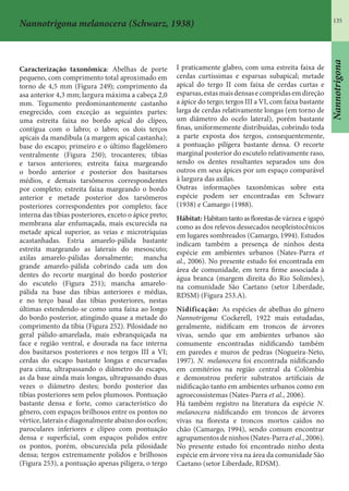 135
Nannotrigona
Nannotrigona melanocera (Schwarz, 1938)
Caracterização taxonômica: Abelhas de porte
pequeno, com comprimento total aproximado em
torno de 4,5 mm (Figura 249); comprimento da
asa anterior 4,3 mm; largura máxima a cabeça 2,0
mm. Tegumento predominantemente castanho
enegrecido, com exceção as seguintes partes:
uma estreita faixa no bordo apical do clípeo,
contígua com o labro; o labro; os dois terços
apicais da mandíbula (a margem apical castanha);
base do escapo; primeiro e o último flagelômero
ventralmente (Figura 250); trocanteres; tíbias
e tarsos anteriores; estreita faixa margeando
o bordo anterior e posterior dos basitarsos
médios, e demais tarsômeros correspondentes
por completo; estreita faixa margeando o bordo
anterior e metade posterior dos tarsômeros
posteriores correspondentes por completo; face
interna das tíbias posteriores, exceto o ápice preto;
membrana alar enfumaçada, mais escurecida na
metade apical superior, as veias e microtríquias
acastanhadas. Estria amarelo-pálida bastante
estreita margeando as laterais do mesoscuto;
axilas amarelo-pálidas dorsalmente; mancha
grande amarelo-pálida cobrindo cada um dos
dentes do recorte marginal do bordo posterior
do escutelo (Figura 251); mancha amarelo-
pálida na base das tíbias anteriores e médias,
e no terço basal das tíbias posteriores, nestas
últimas estendendo-se como uma faixa ao longo
do bordo posterior, atingindo quase a metade do
comprimento da tíbia (Figura 252). Pilosidade no
geral pálido-amarelada, mais esbranquiçada na
face e região ventral, e dourada na face interna
dos basitarsos posteriores e nos tergos III a VI;
cerdas do escapo bastante longas e encurvadas
para cima, ultrapassando o diâmetro do escapo,
as da base ainda mais longas, ultrapassando duas
vezes o diâmetro destes; bordo posterior das
tíbias posteriores sem pelos plumosos. Pontuação
bastante densa e forte, como característico do
gênero, com espaços brilhosos entre os pontos no
vértice, laterais e diagonalmente abaixo dos ocelos;
paroculares inferiores e clípeo com pontuação
densa e superficial, com espaços polidos entre
os pontos, porém, obscurecida pela pilosidade
densa; tergos extremamente polidos e brilhosos
(Figura 253), a pontuação apenas pilígera, o tergo
I praticamente glabro, com uma estreita faixa de
cerdas curtíssimas e esparsas subapical; metade
apical do tergo II com faixa de cerdas curtas e
esparsas,estasmaisdensasecompridasemdireção
a ápice do tergo; tergos III a VI, com faixa bastante
larga de cerdas relativamente longas (em torno de
um diâmetro do ocelo lateral), porém bastante
finas, uniformemente distribuídas, cobrindo toda
a parte exposta dos tergos, consequentemente,
a pontuação pilígera bastante densa. O recorte
marginal posterior do escutelo relativamente raso,
sendo os dentes resultantes separados uns dos
outros em seus ápices por um espaço comparável
à largura das axilas.
Outras informações taxonômicas sobre esta
espécie podem ser encontradas em Schwarz
(1938) e Camargo (1988).
Hábitat: Habitamtantoasflorestasde várzea e igapó
como as dos relevos dessecados neopleistocênicos
em lugares sombreados (Camargo, 1994). Estudos
indicam também a presença de ninhos desta
espécie em ambientes urbanos (Nates-Parra et
al., 2006). No presente estudo foi encontrada em
área de comunidade, em terra firme associada à
água branca (margem direita do Rio Solimões),
na comunidade São Caetano (setor Liberdade,
RDSM) (Figura 253.A).
Nidificação: As espécies de abelhas do gênero
Nannotrigona Cockerell, 1922 mais estudadas,
geralmente, nidificam em troncos de árvores
vivas, sendo que em ambientes urbanos são
comumente encontradas nidificando também
em paredes e muros de pedras (Nogueira-Neto,
1997). N. melanocera foi encontrada nidificando
em cemitérios na região central da Colômbia
e demonstrou preferir substratos artificiais de
nidificação tanto em ambientes urbanos como em
agroecossistemas (Nates-Parra et al., 2006).
Há também registro na literatura da espécie N.
melanocera nidificando em troncos de árvores
vivas na floresta e troncos mortos caídos no
chão (Camargo, 1994), sendo comum encontrar
agrupamentosdeninhos(Nates-Parraetal.,2006).
No presente estudo foi encontrado ninho desta
espécie em árvore viva na área da comunidade São
Caetano (setor Liberdade, RDSM).
 