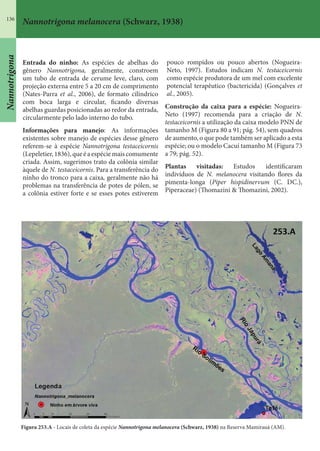 136
Nannotrigona melanocera (Schwarz, 1938)
Entrada do ninho: As espécies de abelhas do
gênero Nannotrigona, geralmente, constroem
um tubo de entrada de cerume leve, claro, com
projeção externa entre 5 a 20 cm de comprimento
(Nates-Parra et al., 2006), de formato cilíndrico
com boca larga e circular, ficando diversas
abelhas guardas posicionadas ao redor da entrada,
circularmente pelo lado interno do tubo.
Informações para manejo: As informações
existentes sobre manejo de espécies desse gênero
referem-se à espécie Nannotrigona testaceicornis
(Lepeletier,1836),queéaespéciemaiscomumente
criada. Assim, sugerimos trato da colônia similar
àquele de N. testaceicornis. Para a transferência do
ninho do tronco para a caixa, geralmente não há
problemas na transferência de potes de pólen, se
a colônia estiver forte e se esses potes estiverem
pouco rompidos ou pouco abertos (Nogueira-
Neto, 1997). Estudos indicam N. testaceicornis
como espécie produtora de um mel com excelente
potencial terapêutico (bactericida) (Gonçalves et
al., 2005).
Construção da caixa para a espécie: Nogueira-
Neto (1997) recomenda para a criação de N.
testaceicornis a utilização da caixa modelo PNN de
tamanho M (Figura 80 a 91; pág. 54), sem quadros
de aumento, o que pode também ser aplicado a esta
espécie; ou o modelo Cacuí tamanho M (Figura 73
a 79; pág. 52).
Plantas visitadas: Estudos identificaram
indivíduos de N. melanocera visitando flores da
pimenta-longa (Piper hispidinervum (C. DC.),
Piperaceae) (Thomazini & Thomazini, 2002).
Figura 253.A - Locais de coleta da espécie Nannotrigona melanocera (Schwarz, 1938) na Reserva Mamirauá (AM).
Nannotrigona
 