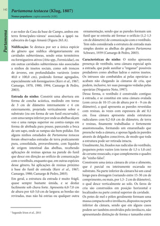 142
Partamona testacea (Klug, 1807)
Nomes populares: cupira amarela (AM).
e ao redor da Casa da base de Campo, ambos em
terra firme/paleo-várzea1
associada a igapó na
cabeceira do Lago Amanã (Figura 263.A).
Nidificação: Se destaca por ser a única espécie
do gênero que nidifica obrigatoriamente em
cavidades subterrâneas, sendo estas termiteiros
ou formigueiros ativos (Atta spp., Formicidae), ou
em outras cavidades subterrâneas não associadas
a ninhos de insetos sociais, como sob troncos
de árvores, em profundidades variáveis (entre
40,0 e 100,0 cm), podendo formar agregados,
especialmente sob formigueiros (Kerr et al., 1967;
Camargo, 1970, 1980, 1994; Camargo & Pedro,
2003).
Entrada do ninho: Constrói uma abertura em
forma de concha acústica, medindo em torno
de 3 cm de diâmetro internamente e 4 cm
externamente, projetada verticalmente sobre o
substrato (ou em forma de um funil encurvado),
comumarampainferiorporondeasabelhasalçam
voo e uma rampa superior ou contra-rampa em
forma de abóbada para pouso, parecendo a boca
de um sapo, onde as rampas são bem polidas. Em
alguns ninhos estudados de Partamona testacea
foram observadas entradas de terra praticamente
pura, consolidada, provavelmente, com líquidos
de origem intestinal das abelhas, recebendo
aplicações de resinas apenas na parede do funil
que desce em direção ao orifício de comunicação
com o vestíbulo, enquanto que, em outras espécies
desse gênero, há aplicações de resinas próximo
à base do funil de entrada (Kerr et al., 1967;
Camargo, 1980; Camargo & Pedro, 2003).
Em geral, a estrutura da entrada é muito frágil,
quase sempre bastante úmida, e se desfaz
facilmente sob chuva forte. Apresenta 6,0-7,0 cm
de altura por 4,0-5,0 cm de largura; as bordas são
reviradas, mas não há estrias ou qualquer outra
ornamentação, sendo que as paredes formam um
funil que se estreita até formar o orifício (1,2-1,5
cm de diâmetro) de comunicação com o vestíbulo.
Tem sido considerada a estrutura de entrada mais
simples dentre as abelhas do gênero Partamona
Schwarz, 1939 (Camargo & Pedro, 2003).
Características do ninho: O ninho apresenta
presença de vestíbulo, uma câmara especial após
a entrada, que pode auxiliar a “enganar” possíveis
predadores como abelhas ladras e outros insetos.
Os intrusos são combatidos aí pelas operárias e
acabam não chegando às câmaras de cria, que
podem, inclusive, ter suas passagens vedadas pelas
operárias (Nogueira-Neto, 1997).
Dessa forma, o vestíbulo é construído contíguo
à entrada, e se constitui em uma câmara ovalada
(com cerca de 10-15 cm de altura por 6 - 9 cm de
diâmetro), a qual apresenta as paredes revestidas
com resinas, às vezes com espessura de até 0,1
cm. Essa câmara apresenta ainda estruturas
radiculares com 0,2-0,8 cm de diâmetro, de terra
e resinas, finamente trabalhadas e fortemente
anastomosadas, formando um emaranhado que
preenche toda a câmara, e apenas ligada às paredes
através de delgados conectivos, de modo que toda
a estrutura pode ser retirada intacta.
Usualmente, há, fixados nas radículas do vestíbulo,
pequenos potes vazios (em torno de 1,5 x 1,0 cm)
de cerume ressecado, o que complementa o quadro
do “ninho falso”.
Constroem uma única câmara de crias e alimento,
que é parcial ou inteiramente escavada no
substrato. Na parte inferior da câmara há um canal
longo para drenagem (variando entre 15-30 cm de
comprimento, ou mais, por 1,5- 2 cm de diâmetro),
o qual desce verticalmente ao solo. Os favos de
cria são construídos em posição horizontal e
localizados na parte central superior da cavidade.
Os potes de mel e pólen geralmente formam uma
massa compacta sob o invólucro, dispostos na parte
inferior da câmara, sendo que em alguns casos
podem ser também envolvidos pelo invólucro, não
apresentando distinção de forma e tamanho entre
1
Segundo Irion et al., 2011
Partamona
 