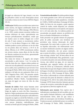 156
Ptilotrigona
de igapó na cabeceira do Lago Amanã e em área
de policultivo (sítio) na terra firme/paleo-várzea
associada a várzea no setor Coraci (RDSA) (Figura
291.A).
Nidificação:Nidificaemocosdeárvores,tantovivas
como mortas, em lugares sombreados dentro da
mata (Vergara et al,. 1986; Camargo, 1994; Oliveira
et al., 1995), sendo comum encontrar ninhos nos
estratos inferiores da mata, especialmente nos
terraços periodicamente inundáveis, sendo que
em muitos casos os ninhos chegam ate o nível
do solo. É mais comum se encontrarem ninhos
entre 1 e 3 m de altura (Vergara et al,. 1986), mas
também podem ocorrer próximos ao rés-do-chão
ou em pontos altos nos troncos, a 10-15 m de
altura. Oliveira et al. (1995) encontraram ninhos
em árvores mortas, numa altura de 8m do chão
em floresta contínua de terra firme, apresentando
densidade de 0.03ninho/ha.
Nas matas de várzeas e de igapós, são sempre
encontrados a, pelo menos, 1 ou 2 m acima do
nível da cheia dos rios. Alguns ninhos podem ser
vistos em ocos de palmeiras e em troncos secos, em
pé ou caídos, mas a preferência é por árvores vivas
(Camargo & Pedro, 2004). Já foi encontrado ninho
embaixo e de lado em um cupinzeiro (Kerr et al.,
1967; Nogueira-Neto, 1997). No presente estudo,
foi encontrado ninho no arapari (Macrolobium
acaciifolium (Benth.) Benth., Caesalpinioideae),
em mata de igapó em torno de 10m do chão
(RDSA).
Entrada do ninho: Pode variar bastante entre
regiões. Na região do Baixo Tapajós (Andirá e ao
longo da região ao norte dos Rios Amazonas e
Japurá) e Negro predominam tubos ornamentados
com um emaranhado de projeções radiculiformes,
enquanto na região ao sul do Rio Solimões, a oeste
do Rio Madeira, predominam tubos mais simples,
com poucas projeções radiculiformes mais
restritas ao bordo apical (Camargo & Pedro, 2004).
Característicasdoninho:Osninhospodemchegar
a ser muito grandes (com 1,80 m de extensão por
25 cm de diâmetro) e muito populosos, variando
de 15.000 a 30.000 indivíduos (Camargo & Pedro,
2004). Os favos de cria ocupam a parte superior
central do ninho, sendo dispostos em camadas
horizontaissuperpostasouemespiral,comespaços
de 4 a 4,5 mm entre elas. As realeiras podem ser
encontradas em grande número na periferia dos
favos ou fixadas isoladamente no invólucro.
Estão presentes um grande número de pequenos
potes de pólen associado com leveduras que
permitem uma intensa dessecação do pólen
armazenado. Por outro lado, os potes com “mel”,
ou líquidos adocicados, são relativamente raros
ou mesmo totalmente ausentes em alguns ninhos.
Quando encontrados, são um pouco maiores
que os potes de pólen e com formato que lembra
uma moringa, contêm “mel” de bom sabor, de cor
âmbar e bem desidratado. Mas, geralmente, o que
se encontra são potes com uma substância pastosa,
viscosa, não solúvel em água, de cor marrom-
amarelada, que, segundo análise, são potes de
resina de Clusia sp. (Clusiaceae), utilizada como
bactericida,masquenãochegamaafetarasculturas
de fungos e leveduras interessantes para as abelhas
(Camargo et al., 1992; Camargo & Pedro, 2004).
Essa resina é adicionada ao cerume utilizado para
construção dos potes de alimento e células de cria
(Camargo & Vit, 2013). Em ninho observado por
Camargo (1970) foram descritos batumes grossos
e duros, de cor preta, construídos de argila e resina
que separam as diversas regiões de cria.
Informações para manejo: Esta espécie não é
indicada para a produção de mel ou pólen, por ser
uma espécie bastante defensiva, com mandíbulas
excessivamente fortes, além de que estoca o
pólen em associação com leveduras (Candida sp.,
Cryptococcaceae), produzindo pouco ou nenhum
mel (Camargo & Pedro, 2004). Entretanto, é
Ptilotrigona lurida (Smith, 1854)
Nomes populares: moça-branca; corta cabelo; aramá, araman, borá-boi, borá-cavalo, borá, tataíra-grande, abelha-piranha.
 