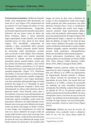 169
Caracterização taxonômica: Abelhas de tamanho
médio, com comprimento total aproximado em
torno de 6,7 mm (Figura 314); comprimento da
asa anterior 5,75 mm; largura da cabeça 2,5 mm.
Tegumento predominantemente enegrecido,
exceto pelas seguintes partes amarelas: paroculares
inferiores, até um pouco acima da altura das
fóveas tentoriais; clípeo, a sutura epistomal
negra; supraclipeal; escapo amarelo, com mancha
castanho-escura no terço apical da face dorsal
(Figura 315); mandíbulas, contornadas de
castanho, o ápice acastanhado; labro; pronoto,
incluindo os lóbulos pronotais; bordos laterais
do mesoscuto; axilas dorsalmente; escutelo,
mais escurecido na base (Figura 316); metanoto;
mesepisternos negros com mancha amarelada
transversal na metade anterior; metepisterno
amarelado; pernas amarelo-méleas, exceto pela
face externa dos basitarsos médios, a face ventral
dos fêmures médios e posteriores e os 2/3 apicais
das tíbias posteriores e seus respectivos basitarsos,
castanho-enegrecidos (Figura 317). Membrana
alar hialina, as nervuras méleas e as microtríquias
esbranquiçadas; metassoma castanho enegrecido,
exceto pelo primeiro e sexto tergos amarelados,
com faixa amarelada relativamente larga no bordo
posterior dos tergos II a V. Pilosidade no geral
amarelada relativamente comprida e densa, mais
esbranquiçada na cabeça; pelos plumosos da face
plumosos desde a base, bastante curtos, finos e
decumbentes, um pouco mais esbranquiçados nas
paroculares médias, os das gênas bastante densos,
conferindo aspecto aveludado; cerdas eretas das
paroculares inferiores e do clípeo bastante curtas,
bastante mais curtas que meio diâmetro do escapo;
cerdas um pouco mais longas na fronte e vértice,
as mais longas com comprimento em torno de
uma vez e meia o diâmetro do escapo; cerdas do
escapo relativamente curtas, mais curtas que meio
diâmetro do escapo; cerdas do disco do mesoscuto
em torno de uma vez o diâmetro do escapo, as do
bordo anterior do mesoscuto e do escutelo mais
longas, em torno de duas vezes o diâmetro do
escapo, as dos mesepisternos ainda mais longas;
bordo posterior das tíbias posteriores com pelos
plumosos bastante finos e com as ramificações
curtas, intercalados por cerdas mais longas e
espessas; primeiro tergo praticamente glabro;
cerdas semi-decumbentes relativamente longas a
partir da metade posterior do tergo II (Figura 318),
gradativamente longas e espessas em direção ao
ápice do abdome, no tergo VI em torno de duas
vezes e meia o diâmetro do escapo, com algumas
cerdas ramificadas intercalando as cerdas simples.
Abdome alongado; esporão mesotibial presente,
normal; tíbias posteriores subraquetiformes;
dentes das mandíbulas relativamente pequenos.
Outras informações taxonômicas sobre esta
espécie podem ser encontradas em Ducke (1902b,
1916, 1925), Schwarz (1940), Michener (1990),
Moure (1951, 2000), Camargo & Pedro (2004).
Hábitat: Costuma construir ninhos nos estratos
superiores da mata (Camargo, 1994). Em estudo
feito por Oliveira et al. (1995) em experimentos
de fragmentação florestal próximo a Manaus,
essa espécie somente foi encontrada em áreas
desmatadas de terra firme. Em estudo feito por
Gonçalves et al. (1996), a espécie foi encontrada
em ambiente de mata secundária fortemente
antropizada.NaColômbia,aespéciefoiencontrada
em altitude de 576 m. No presente estudo, essa
espécie somente foi encontrada na RDSA, em áreas
antropizadas (sítios e em torno da casa na base de
campo), em ambiente de terra firme/paleo-várzea1
ao longo do Lago Amanã e em terra firme/paleo-
várzea associada a várzea no setor Coraci (Figura
320.A).
Nidificação: Nidifica em ocos de árvores, de
preferência vivas, podendo variar o diâmetro
entre 27 cm a 81 cm, numa altura média de
1
Segundo Irion et al., 2011
Tetragona clavipes (Fabricius, 1804)
Nomes populares: vorá, vamos-embora, borá, i-kàikà; jataizão e cola-cola; watawila, amputxigagem, simbretx, tapemon.
Tetragona
 