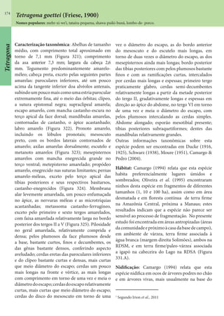 174
Tetragona goettei (Friese, 1900)
Nomes populares: mehr-xi-we’i, tataíra-pequena, shawa-puiki-buná, lombo-de- porco.
Caracterização taxonômica: Abelhas de tamanho
médio, com comprimento total aproximado em
torno de 7,1 mm (Figura 321); comprimento
da asa anterior 7,3 mm; largura da cabeça 2,6
mm. Tegumento predominantemente amarelo-
méleo; cabeça preta, exceto pelas seguintes partes
amarelas: paroculares inferiores, até um pouco
acima da tangente inferior doa alvéolos antenais,
subindoumpoucomaiscomoumaestriaparocular
extremamente fina, até o meio das órbitas; clípeo,
a sutura epistomal negra; supraclipeal amarela;
escapo amarelo, com mancha castanho-escura no
terço apical da face dorsal; mandíbulas amarelas,
contornadas de castanho, o ápice acastanhado;
labro amarelo (Figura 322). Pronoto amarelo,
incluindo os lóbulos pronotais; mesoscuto
preto, com os bordos laterais contornados de
amarelo; axilas amarelas dorsalmente; escutelo e
metanoto amarelos (Figura 323); mesepisternos
amarelos com mancha enegrecida grande no
terço ventral; metepisterno amarelado; propódeo
amarelo, enegrecido nas suturas limitantes; pernas
amarelo-méleas, exceto pelo terço apical das
tíbias posteriores e seus respectivos basitarsos,
castanho-enegrecidos (Figura 324). Membrana
alar levemente amarelada, um pouco enfumaçada
no ápice, as nervuras méleas e as microtríquias
acastanhadas; metassoma castanho-ferrugíneo,
exceto pelo primeiro e sexto tergos amarelados,
com faixa amarelada relativamente larga no bordo
posterior dos tergos II a V (Figura 325). Pilosidade
no geral amarelada, relativamente comprida e
densa; pelos plumosos da face plumosos desde
a base, bastante curtos, finos e decumbentes, os
das gênas bastante densos, conferindo aspecto
aveludado; cerdas eretas das paroculares inferiores
e do clípeo bastante curtas e densas, mais curtas
que meio diâmetro do escapo; cerdas um pouco
mais longas na fronte e vértice, as mais longas
com comprimento em torno de uma vez e meia o
diâmetrodoescapo;cerdasdoescaporelativamente
curtas, mais curtas que meio diâmetro do escapo;
cerdas do disco do mesoscuto em torno de uma
vez o diâmetro do escapo, as do bordo anterior
do mesoscuto e do escutelo mais longas, em
torno de duas vezes o diâmetro do escapo, as dos
mesepisternos ainda mais longas; bordo posterior
das tíbias posteriores com pelos plumosos bastante
finos e com as ramificações curtas, intercalados
por cerdas mais longas e espessas; primeiro tergo
praticamente glabro, cerdas semi-decumbentes
relativamente longas a partir da metade posterior
do tergo II, gradativamente longas e espessas em
direção ao ápice do abdome, no tergo VI em torno
de uma vez e meia o diâmetro do escapo, com
pelos plumosos intercalando as cerdas simples.
Abdome alongado; esporão mesotibial presente;
tíbias posteriores subraquetiformes; dentes das
mandíbulas relativamente grandes.
Outras informações taxonômicas sobre esta
espécie podem ser encontradas em Ducke (1916,
1925), Schwarz (1938), Moure (1951), Camargo &
Pedro (2004).
Hábitat: Camargo (1994) relata que esta espécie
habita preferencialmente lugares úmidos e
sombreados; Oliveira et al. (1995) encontraram
ninhos desta espécie em fragmentos de diferentes
tamanhos (1, 10 e 100 ha), assim como em área
desmatada e em floresta contínua de terra firme
na Amazônia Central, próxima a Manaus; estes
resultados indicam que a espécie não parece ser
sensível ao processo de fragmentação. No presente
estudo foi encontrada em áreas antropizadas (áreas
dacomunidadeepróximoàcasadabasedecampo),
em ambiente de várzea, terra firme associada à
água branca (margem direita Solimões), ambos na
RDSM, e em terra firme/paleo-várzea’
associada
a igapó na cabeceira do Lago na RDSA (Figura
331.A).
Nidificação: Camargo (1994) relata que esta
espécie nidifica em ocos de árvores podres no chão
e em árvores vivas, mais usualmente na base do
1
Segundo Irion et al., 2011
Tetragona
 