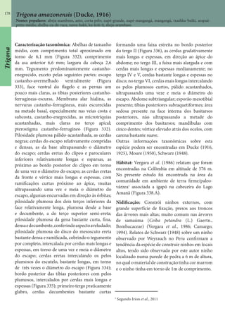 178
Trigona amazonensis (Ducke, 1916)
Nomes populares: abeja-arambaso, amo, corta-pelo; xupé-grande, xupé-mangangá, mangangá, txashku-buiki, arapuá-
preto-médio, abelha-cu-de-vaca, nawa-bakû, ku-krãi-ti, abeja-arambaso.
Caracterização taxonômica: Abelhas de tamanho
médio, com comprimento total aproximado em
torno de 6,1 mm (Figura 332); comprimento
da asa anterior 6,6 mm; largura da cabeça 2,6
mm. Tegumento predominantemente castanho-
enegrecido, exceto pelas seguintes partes: escapo
castanho-avermelhado ventralmente (Figura
333), face ventral do flagelo e as pernas um
pouco mais claras, as tíbias posteriores castanho-
ferrugíneas-escuras. Membrana alar hialina, as
nervuras castanho-ferrugíneas, mais escurecidas
na metade basal, especialmente nas veias costa e
subcosta, castanho-enegrecidas, as microtríquias
acastanhadas, mais claras no terço apical;
pterostigma castanho-ferrugíneo (Figura 332).
Pilosidade plumosa pálido-acastanhada, as cerdas
negras; cerdas do escapo relativamente compridas
e densas, as da base ultrapassando o diâmetro
do escapo; cerdas eretas do clípeo e paroculares
inferiores relativamente longas e esparsas, as
próximo ao bordo posterior do clípeo em torno
de uma vez o diâmetro do escapo; as cerdas eretas
da fronte e vértice mais longas e espessas, com
ramificações curtas próximo ao ápice, muitas
ultrapassando uma vez e meia o diâmetro do
escapo, algumas encurvadas em direção às órbitas;
pilosidade plumosa dos dois terços inferiores da
face relativamente longa, plumosa desde a base
e decumbente, a do terço superior semi-ereta;
pilosidade plumosa da gena bastante curta, fina,
densaedecumbente,conferindoaspectoaveludado;
pilosidade plumosa do disco do mesoscuto ereta
bastante densa e ramificada, cobrindo o tegumento
por completo, intercalada por cerdas mais longas e
espessas, em torno de uma vez e meia o diâmetro
do escapo; cerdas eretas intercalando os pelos
plumosos do escutelo, bastante longas, em torno
de três vezes o diâmetro do escapo (Figura 334);
bordo posterior das tíbias posteriores com pelos
plumosos, intercalados por cerdas mais longas e
espessas (Figura 335); primeiro tergo praticamente
glabro, cerdas decumbentes bastante curtas
formando uma faixa estreita no bordo posterior
do tergo II (Figura 336), as cerdas gradativamente
mais longas e espessas, em direção ao ápice do
abdome; no tergo III, a faixa mais alargada e com
cerdas mais longas e espessas medianamente; no
tergo IV e V, cerdas bastante longas e espessas no
disco; no tergo VI, cerdas mais longas intercalando
os pelos plumosos curtos, pálido acastanhados,
ultrapassando uma veze e meia o diâmetro do
escapo. Abdome subtriangular; esporão mesotibial
presente; tíbias posteriores subraquetiformes; área
sedosa presente na face interna dos basitarsos
posteriores, não ultrapassando a metade do
comprimento dos basitarsos; mandíbulas com
cinco dentes; vértice elevado atrás dos ocelos, com
carena bastante suave.
Outras informações taxonômicas sobre esta
espécie podem ser encontradas em Ducke (1916,
1925), Moure (1950), Schwarz (1948).
Hábitat: Vergara et al. (1986) relatam que foram
encontradas na Colômbia em altitude de 576 m.
No presente estudo foi encontrada na área da
comunidade em ambiente de terra firme/paleo-
várzea1
associada a igapó na cabeceira do Lago
Amanã (Figura 338.A).
Nidificação: Constrói ninhos externos, com
grande superfície de fixação, presos aos troncos
das árvores mais altas; muito comum nas árvores
de samaúma (Ceiba petandra (L.) Gaertn.,
Bombacaceae) (Vergara et al., 1986; Camargo,
1994). Relatos de Schwarz (1948) sobre um ninho
observado por Weyrauch no Peru confirmam a
tendência da espécie de construir ninhos em locais
altos, tendo sido observado por este autor ninho
localizado numa parede de pedra a 6 m de altura,
no qual o material de construção tinha cor marrom
e o ninho tinha em torno de 1m de comprimento.
1
Segundo Irion et al., 2011
Trigona
 