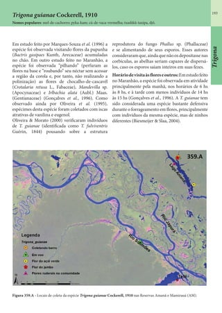 193
Trigona guianae Cockerell, 1910
Nomes populares: mel-de-cachorro; pyka-kam; cú-de-vaca-vermelha; txashkû-taxipa, djô.
Em estudo feito por Marques-Souza et al. (1996) a
espécie foi observada visitando flores da pupunha
(Bactris gasipaes Kunth, Arecaceae) acumuladas
no chão. Em outro estudo feito no Maranhão, a
espécie foi observada “pilhando” (perfuram as
flores na base e “roubando” seu néctar sem acessar
a região da corola e, por tanto, não realizando a
polinização) as flores de chocalho-de-cascavél
(Crotalaria retusa L., Fabaceae), Mandevilla sp.
(Apocynaceae) e Irlbachia alata (Aubl.) Maas.
(Gentianaceae) (Gonçalves et al., 1996). Como
observado ainda por Oliveira et al. (1995),
espécimes desta espécie foram coletados com iscas
atrativas de vanilina e eugenol.
Oliveira & Morato (2000) verificaram indivíduos
de T. guianae (identificada como T. fulviventris
Guérin, 1844) pousando sobre a estrutura
reprodutora do fungo Phallus sp. (Phallaceae)
e se alimentando de seus esporos. Esses autores
consideraram que, ainda que não os depositasse nas
corbículas, as abelhas seriam capazes de dispersá-
los, caso os esporos saiam inteiros em suas fezes.
Horáriodevisitaàsfloreseoutros:Emestudofeito
no Maranhão, a espécie foi observada em atividade
principalmente pela manhã, nos horários de 6 hs
às 8 hs, e à tarde com menos indivíduos de 14 hs
às 15 hs (Gonçalves et al., 1996). A T. guianae tem
sido considerada uma espécie bastante defensiva
durante o forrageamento em flores, principalmente
com indivíduos da mesma espécie, mas de ninhos
diferentes (Biesmeijer & Slaa, 2004).
Figura 359.A - Locais de coleta da espécie Trigona guianae Cockerell, 1910 nas Reservas Amanã e Mamirauá (AM).
Trigona
 