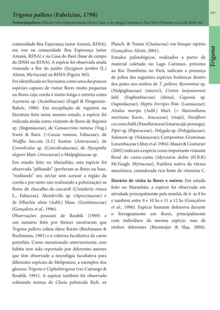 197
Trigona pallens (Fabricius, 1798)
Nomespopulares:Olhodevidro,Irapuáamarela;Myre;Cutia-o-de-purga,Colatakwa,Tuu,Myre,Oloman-oni,Lebi,Redi-oni.
comunidade Boa Esperança (setor Amanã, RDSA),
em voo na comunidade Boa Esperança (setor
Amanã, RDSA) e na Casa do Baré (base de campo
do IDSM na RDSA). A espécie foi observada ainda
visitando a flor do jambo (Syzygium jambos (L.)
Alston, Myrtaceae) na RDSA (Figura 365).
FoiidentificadanoSurinamecomoumadaspoucas
espécies capazes de visitar flores muito pequenas
ou flores cuja corola é muito longa e estreita como
Asystasia sp. (Acanthaceae) (Engel & Dingeman-
Bakels, 1980). Em recopilação de registros na
literatura feita nesse mesmo estudo, a espécie foi
indicada ainda como visitante de flores de Begonia
sp. (Begoniaceae), de Camaecrista ramosa (Vog.)
Irwin & Barn. (=Cassia ramosa, Fabaceae), de
Wulffia baccata (L.f.) Kuntze (Asteraceae), de
Convolvulus sp. (Convolvulaceae), de Hyospathe
elegans Mart. (Arecaceae) e Malpighiaceae sp.
Em estudo feito no Maranhão, esta espécie foi
observada “pilhando” (perfuram as flores na base,
“roubando” seu néctar sem acessar a região da
corola e por tanto não realizando a polinização) as
flores de chocalho-de-cascavél (Crotalaria retusa
L., Fabaceae), Mandevilla sp. (Apocynaceae) e
de Irlbachia alata (Aubl.) Maas. (Gentianaceae)
(Gonçalves et al., 1996).
Observações pessoais de Roubik (1989) e
um sumário feito por Steiner mostraram que
Trigona pallens coleta óleos florais (Buchmann &
Buchmann, 1981) e é coletora facultativa de carne
putrefata. Como mensionado anteriormente, esse
hábito tem sido reportado por diferentes autores
que têm observado a necrofagia facultativa para
diferentes espécies de Meliponini, a exemplos dos
gêneros Trigona e Cephalotrigona (ver Camargo &
Roubik, 1991). A espécie também foi observada
coletando resinas de Clusia palmicida Rich. ex
Planch. & Triana (Clusiaceae) em bosque ripário
(Gonçalves-Alvim, 2001).
Estudos palinológicos, realizados a partir de
material coletado no Lago Carimun, próximo
ao Rio Trombetas no Pará, indicam a presença
de pólen das seguintes espécies botânicas dentro
dos potes nos ninhos de T. pallens: Byrsonima sp.
(Malpighiaceae) (murici); Croton lanjouwensis
Jabl. (Euphorbiaceae) (dima); Cupania sp.
(Sapindaceae); Hyptis brevipes Poit. (Lamiaceae);
Attalea maripa (Aubl.) Mart. (= Maximiliana
martiana Karst., Arecaceae) (inajá); Passiflora
coccineaAubl.(Passifloraceae)(maracujá-poranga);
Piper sp. (Piperaceae); Polygala sp. (Polygalaceae);
Solanum sp. (Solanaceae); Compositae; Graminae;
Loranthaceae(Absyetal.1984).Maués&Couturier
(2002)indicamaespéciecomoimportantevisitante
floral do camu-camu (Myrciaria dubia (H.B.K)
McVaugh, Myrtaceae), frutífera nativa da várzea
amazônica, considerada rica fonte de vitamina C.
Horário de visita às flores e outros: Em estudo
feito no Maranhão, a espécie foi observada em
atividade principalmente pela manhã, de 6 às 8 hs
e também entre 9 e 10 hs e 11 a 12 hs (Gonçalves
et al., 1996). Espécie bastante defensiva durante
o forrageamento em flores, principalmente
com indivíduos da mesma espécie, mas de
ninhos diferentes (Biesmeijer & Slaa, 2004).
Trigona
 