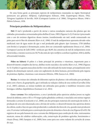 18
De uma forma geral, as principais espécies de meliponíneos manejadas na região Neotropical
pertencem aos gêneros: Melipona, Cephalotrigona Schwarz, 1940, Scaptotrigona Moure, 1942,
Tetragona Lepeletier & Serville, 1828 (Cortopassi-Laurino et al. 2006), Tetragonisca Moure, 1946 e
Plebeia Schwarz, 1938.
Principais produtos da Meliponicultura:
Mel: O mel é produzido a partir do néctar e outras exsudações naturais das plantas que são
coletadas, processadas e armazenadas pelas abelhas (Crane, 1985) (Figuras 2 e 3). O néctar é processado
com o uso de enzimas digestivas desses insetos, transformando em mel, sendo armazenado em
potes para servir-lhes de alimento (Kerr et al., 1996). O mel de meliponíneos apresenta elevado valor
medicinal, teor de água maior do que o mel produzido pelo gênero Apis Linnaeus, 1758 (abelhas
com ferrão) e é propício à fermentação, assim, deve ser consumido rapidamente (Souza et al., 2004).
Cortopassi-Laurino & Gelli (1991) verificam que 40,8% das amostras de mel de meliponíneos eram
bactericidas, o mesmo ocorreu em 30,7% dos méis de Apis mellifera scutellata Lepeletier, 1836 (a abelha
africanizada) testados.
Pólen ou Saburá: O pólen é a fonte principal de proteína e vitaminas, importante para o
desenvolvimento completo das larvas, abelhas recém-nascidas e da rainha (Kerr et al., 1996) (Figuras
4 e 5). O pólen é o gameta masculino da flor e tem sido utilizado há muito tempo, principalmente entre
adeptos da alimentação natural, como um suplemento da dieta humana, provavelmente pela riqueza
de proteínas, lipídios, vitaminas e sais minerais (Silveira, 1996; Souza et al., 2004).
Resina: As resinas são coletadas de diferentes espécies de plantas e são utilizadas para produção,
junto com o barro, da geoprópolis, que é utilizada na vedação e defesa de seus ninhos (Carvalho-Zilse
et al., 2007); ademais, as resinas também são utilizadas para grudar e imobilizar invasores como
formigas e abelhas cleptobióticas (Gastauer et al., 2011).
Cera e cerume: Nos meliponíneos, a cera é produzida pelas operárias adultas jovens na região
dorsal do abdome, entre o III e o VI tergos (pelas glândulas ceríferas), e mesclada com resinas vegetais
formando o cerume (Cavalcante et al., 2000), um dos principais materiais de construção do ninho. A
produção de cera está relacionada com a divisão de tarefas e o desenvolvimento das operárias dentro
da colônia, sendo a fase em que estão produzindo e cuidando dos favos de cria, quando mais produzem
cera. O cerume é utilizado para a construção dos potes de alimentos e favos de cria (Figuras 02 a 05). Há
registros de uso pelo homem de cera e cerume dos Meliponini para confecção de velas, instrumentos
musicais, massa de calafetar embarcações, cola, conservação de produtos agrícolas, benzimentos e
rituais (Posey, 1983; Sampaio et al., 2009), bem como para uso como vedante de cartucho de armas
de caça.
 