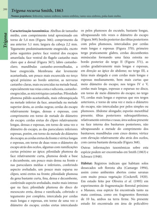 200
Trigona recursa Smith, 1863
Nomes populares: feiticeira; vamos-embora; vamos-embôra, vamo-nos-embora, puka-kam-mehn.
Caracterização taxonômica: Abelhas de tamanho
médio, com comprimento total aproximado em
torno de 5,4 mm (Figura 366); comprimento da
asa anterior 5,1 mm; largura da cabeça 2,2 mm.
Tegumento predominantemente enegrecido, exceto
pelas seguintes partes: face ventral dos escapos
amarelada; face ventral do flagelo castanho mais
claro que a dorsal (Figura 367); labro castanho-
claro; mandíbulas castanho-avermelhadas, a
base enegrecida. Membrana alar levemente
acastanhada, um pouco mais escurecida no terço
apical próximo ao bordo anterior, as nervuras
castanho-claras, mais escurecidas na metade basal,
especialmente nas veias costa e subcosta, castanho-
enegrecidas, as microtríquias castanhas. Pilosidade
plumosa pálido-acastanhada, mais esbranquiçada
na metade inferior da face, amarelada na metade
superior desta, as cerdas negras; cerdas do escapo
relativamente longas, densas e espessas, com
comprimento em torno de metade do diâmetro
do escapo; cerdas eretas do clípeo relativamente
longas, densas e espessas, em torno de uma vez o
diâmetro do escapo, as das paroculares inferiores
espessas, porém, em torno da metade do diâmetro
doescapo;ascerdaseretasdafronteevérticelongas
e espessas, em torno de duas vezes o diâmetro do
escapo atrás dos ocelos, algumas com ramificações
curtas próximo ao ápice; pilosidade plumosa da
face relativamente curta, plumosa desde a base
e decumbente, um pouco mais densa na fronte e
nas paroculares médias e inferiores, conferindo
aspecto aveludado, um pouco mais esparsa no
clípeo, semi-eretos na fronte; pilosidade plumosa
da gena bastante curta, fina, densa e decumbente,
conferindo aspecto aveludado, muito mais intenso
que na face; pilosidade plumosa do disco do
mesoscuto ereta, densa e ramificada, cobrindo o
tegumento por completo, intercalada por cerdas
mais longas e espessas, em torno de uma vez o
diâmetro do escapo; cerdas eretas intercalando
os pelos plumosos do escutelo, bastante longas,
ultrapassando três vezes o diâmetro do escapo
(Figura 369); bordo posterior das tíbias posteriores
com pelos plumosos, intercalados por cerdas
mais longas e espessas (Figura 370); primeiro
tergo praticamente glabro, cerdas decumbentes
minúsculas formando uma faixa estreita no
bordo posterior do tergo II (Figura 371), as
cerdas gradativamente mais longas e espessas,
em direção ao ápice do abdome; no tergo III, a
faixa mais alargada e com cerdas mais longas e
espessas medianamente, bem mais curtas que
meio diâmetro do escapo; nos tergos IV e V,
cerdas mais longas, espessas e esparsas no disco,
em torno de meio diâmetro do escapo; no tergo
VI, cerdas mais longas e esparsas que nos tergos
anteriores, e torno de uma vez e meia o diâmetro
do escapo, não intercaladas por pelos simples ou
plumosos. Abdome alongado; esporão mesotibial
presente; tíbias posteriores subraquetiformes,
relativamente estreitas e rasas; área sedosa presente
na face interna dos basitarsos posteriores, não
ultrapassando a metade do comprimento dos
basitarsos; mandíbulas com cinco dentes; vértice
com elevação relativamente alta atrás dos ocelos,
com carena bastante destacada (Figura 368).
Outras informações taxonômicas sobre esta
espécie podem ser encontradas em Smith (1863) e
Schwarz (1948).
Hábitat: Registros indicam que habitam solos
dessecados sob floresta alta (Camargo 1994),
assim como ambientes abertos como savanas
com muito pouca vegetação (Cockerell, 1920).
Em estudo feito por Oliveira et al. (1995) em
experimentos de fragmentação florestal próximo
a Manaus, essa espécie foi encontrada tanto na
mata contínua, como em fragmentos florestais
de 10 ha, ambos na terra firme. No presente
estudo foi encontrada em área de policultivo
Trigona
 