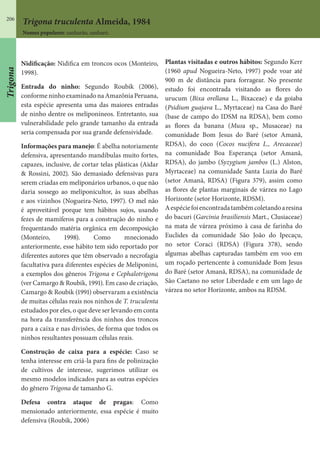 206
Trigona truculenta Almeida, 1984
Nomes populares: sanharão, sanharó.
Nidificação: Nidifica em troncos ocos (Monteiro,
1998).
Entrada do ninho: Segundo Roubik (2006),
conformeninhoexaminadonaAmazôniaPeruana,
esta espécie apresenta uma das maiores entradas
de ninho dentre os meliponíneos. Entretanto, sua
vulnerabilidade pelo grande tamanho da entrada
seria compensada por sua grande defensividade.
Informações para manejo: É abelha notoriamente
defensiva, apresentando mandíbulas muito fortes,
capazes, inclusive, de cortar telas plásticas (Aidar
& Rossini, 2002). São demasiado defensivas para
serem criadas em meliponários urbanos, o que não
daria sossego ao meliponicultor, às suas abelhas
e aos vizinhos (Nogueira-Neto, 1997). O mel não
é aproveitável porque tem hábitos sujos, usando
fezes de mamíferos para a construção do ninho e
frequentando matéria orgânica em decomposição
(Monteiro, 1998). Como mnecionado
anteriormente, esse hábito tem sido reportado por
diferentes autores que têm observado a necrofagia
facultativa para diferentes espécies de Meliponini,
a exemplos dos gêneros Trigona e Cephalotrigona
(ver Camargo & Roubik, 1991). Em caso de criação,
Camargo & Roubik (1991) observaram a existência
de muitas células reais nos ninhos de T. truculenta
estudados por eles, o que deve ser levando em conta
na hora da transferência dos ninhos dos troncos
para a caixa e nas divisões, de forma que todos os
ninhos resultantes possuam células reais.
Construção de caixa para a espécie: Caso se
tenha interesse em criá-la para fins de polinização
de cultivos de interesse, sugerimos utilizar os
mesmo modelos indicados para as outras espécies
do gênero Trigona de tamanho G.
Defesa contra ataque de pragas: Como
mensionado anteriormente, essa espécie é muito
defensiva (Roubik, 2006)
Plantas visitadas e outros hábitos: Segundo Kerr
(1960 apud Nogueira-Neto, 1997) pode voar até
900 m de distância para forragear. No presente
estudo foi encontrada visitando as flores do
urucum (Bixa orellana L., Bixaceae) e da goiaba
(Psidium guajava L., Myrtaceae) na Casa do Baré
(base de campo do IDSM na RDSA), bem como
as flores da banana (Musa sp., Musaceae) na
comunidade Bom Jesus do Baré (setor Amanã,
RDSA), do coco (Cocos nucifera L., Arecaceae)
na comunidade Boa Esperança (setor Amanã,
RDSA), do jambo (Syzygium jambos (L.) Alston,
Myrtaceae) na comunidade Santa Luzia do Baré
(setor Amanã, RDSA) (Figura 379), assim como
as flores de plantas marginais de várzea no Lago
Horizonte (setor Horizonte, RDSM).
Aespéciefoiencontradatambémcoletandoaresina
do bacuri (Garcinia brasiliensis Mart., Clusiaceae)
na mata de várzea próximo à casa de farinha do
Euclides da comunidade São João do Ipecaçu,
no setor Coraci (RDSA) (Figura 378), sendo
algumas abelhas capturadas também em voo em
um roçado pertencente à comunidade Bom Jesus
do Baré (setor Amanã, RDSA), na comunidade de
São Caetano no setor Liberdade e em um lago de
várzea no setor Horizonte, ambos na RDSM.
Trigona
 