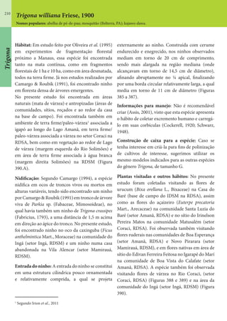 210
Hábitat: Em estudo feito por Oliveira et al. (1995)
em experimentos de fragmentação florestal
próximo a Manaus, essa espécie foi encontrada
tanto na mata contínua, como em fragmentos
florestais de 1 ha e 10 ha, como em área desmatada,
todos na terra firme. Já nos estudos realizados por
Camargo & Roubik (1991), foi encontrado ninho
em floresta densa de árvores emergentes.
No presente estudo foi encontrada em áreas
naturais (mata de várzea) e antropizadas (áreas de
comunidades, sítios, roçados e ao redor da casa
na base de campo). Foi encontrada também em
ambiente de terra firme/paleo-várzea1
associada a
igapó ao longo do Lago Amanã, em terra firme/
paleo-várzea associada a várzea no setor Coraci na
RDSA, bem como em vegetação ao redor de Lago
de várzea (margem esquerda do Rio Solimões) e
em área de terra firme associada à água branca
(margem direita Solimões) na RDSM (Figura
390.A).
Nidificação: Segundo Camargo (1994), a espécie
nidifica em ocos de troncos vivos ou mortos em
alturas variáveis, tendo sido encontrado um ninho
por Camargo & Roubik (1991) em tronco de árvore
viva de Parkia sp. (Fabaceae, Mimosoideae), no
qual havia também um ninho de Trigona crassipes
(Fabricius, 1793), a uma distância de 1,5 m acima
em direção ao ápice do tronco. No presente estudo,
foi encontrado ninho no oco da caxinguba (Ficus
anthelmintica Mart., Moraceae) na comunidade do
Ingá (setor Ingá, RDSM) e um ninho numa casa
abandonada na Vila Alencar (setor Mamirauá,
RDSM).
Entrada do ninho: A entrada do ninho se constitui
em uma estrutura cilíndrica pouco ornamentada
e relativamente comprida, a qual se projeta
1
Segundo Irion et al., 2011
externamente ao ninho. Construída com cerume
endurecido e enegrecido, nos ninhos observados
mediam em torno de 20 cm de comprimento,
sendo mais alargada na região mediana (onde
alcançavam em torno de 14,5 cm de diâmetro),
afinando abruptamente no ¼ apical, finalizando
por uma borda circular relativamente larga, a qual
media em torno de 11 cm de diâmetro (Figuras
385 a 387).
Informações para manejo: Não é recomendável
criar (Assis, 2001), visto que esta espécie apresenta
o hábito de coletar excremento humano e carregá-
lo em suas corbículas (Cockerell, 1920; Schwarz,
1948).
Construção de caixa para a espécie: Caso se
tenha interesse em criá-la para fins de polinização
de cultivos de interesse, sugerimos utilizar os
mesmo modelos indicados para as outras espécies
do gênero Trigona, de tamanho G.
Plantas visitadas e outros hábitos: No presente
estudo foram coletadas visitando as flores de
urucum (Bixa orellana L., Bixaceae) na Casa do
Baré (base de campo do IDSM na RDSA), assim
como as flores do açaizeiro (Euterpe precatoria
Mart., Arecaceae) na comunidade Santa Luzia do
Baré (setor Amanã, RDSA) e no sítio do Irinelson
Pereira Matos na comunidade Matusalém (setor
Coraci, RDSA). Foi observada também visitando
flores ruderais nas comunidades de Boa Esperança
(setor Amanã, RDSA) e Novo Pirarara (setor
Mamirauá, RDSM), e em flores nativas em área de
sítio do Edivan Ferreira Feitosa no Igarapé do Marí
na comunidade de Boa Vista do Calafate (setor
Amanã, RDSA). A espécie também foi observada
visitando flores de várzea no Rio Coraci, (setor
Coraci, RDSA) (Figuras 388 e 389) e na área da
comunidade do Ingá (setor Ingá, RDSM) (Figura
390).
Trigona williana Friese, 1900
Nomes populares: abelha de pé-de-pau; mosquitão (Belterra, PA); kajawo-dawa.
Trigona
 